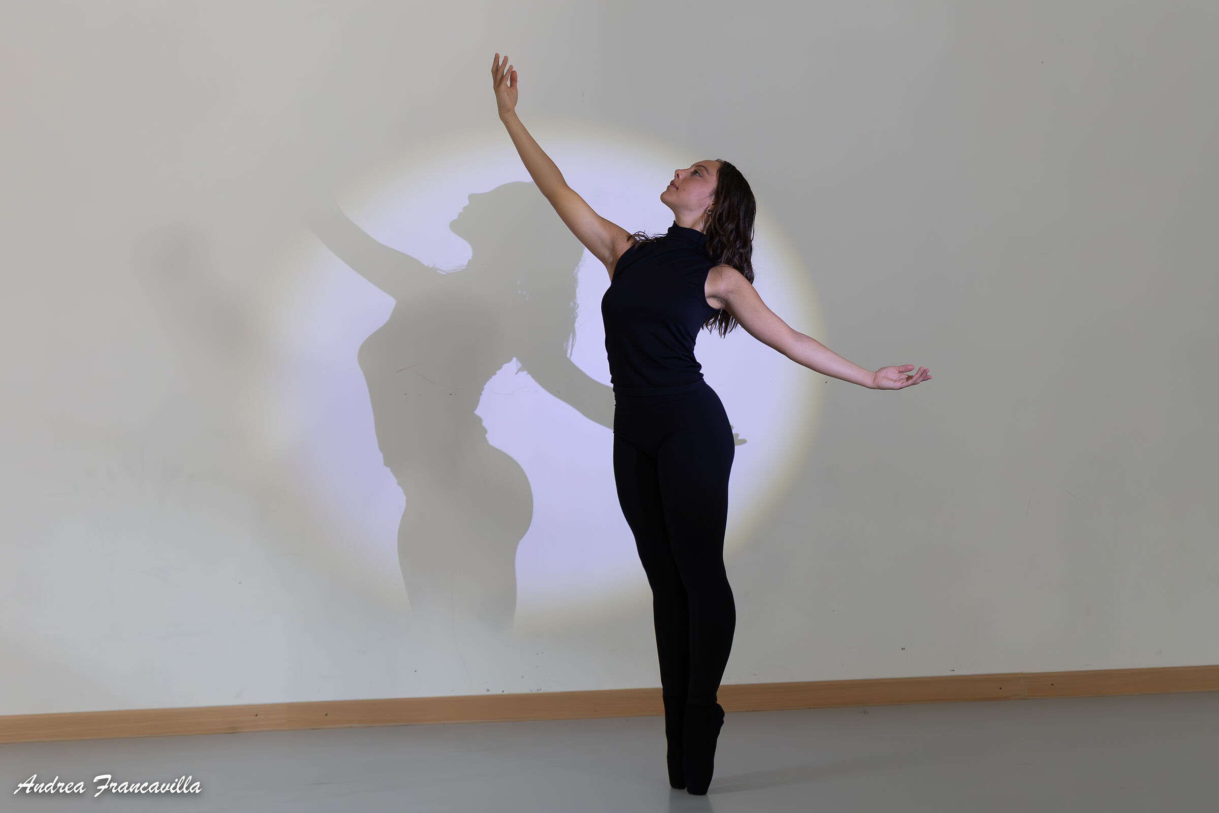 The substance of a photo is light.