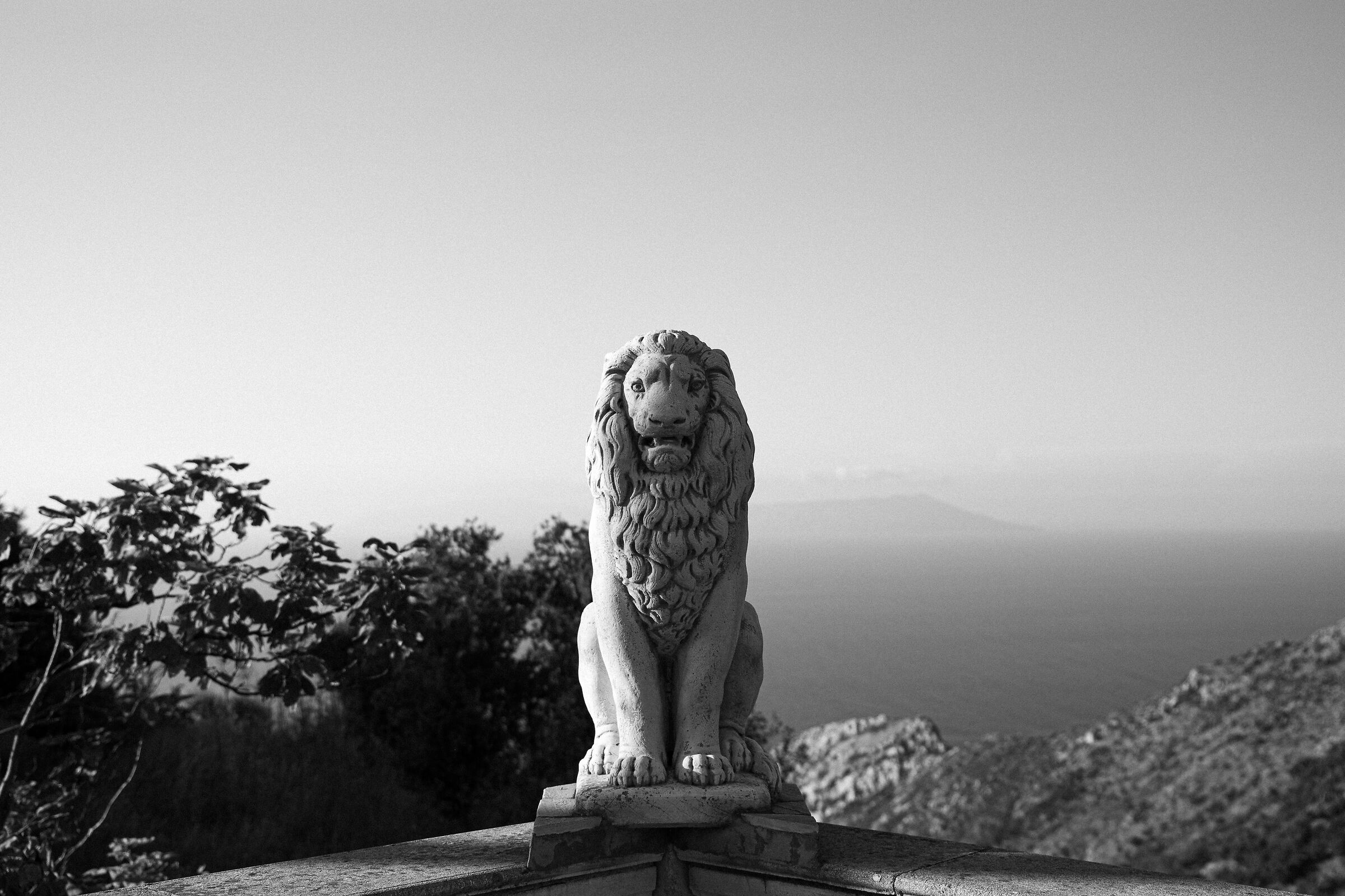 The lion on the sea