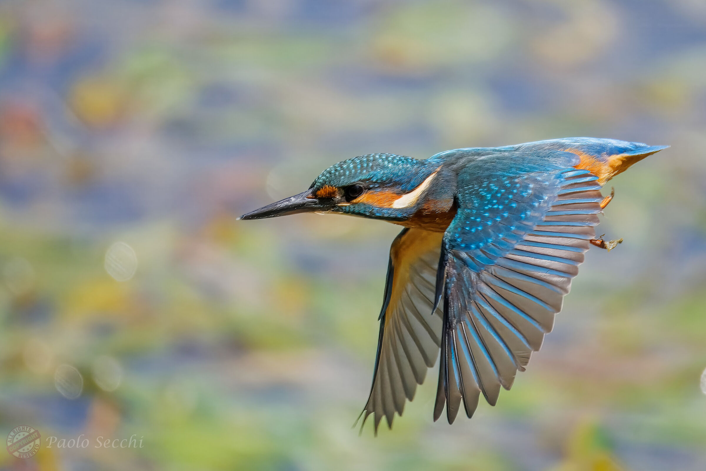 Transfer flight