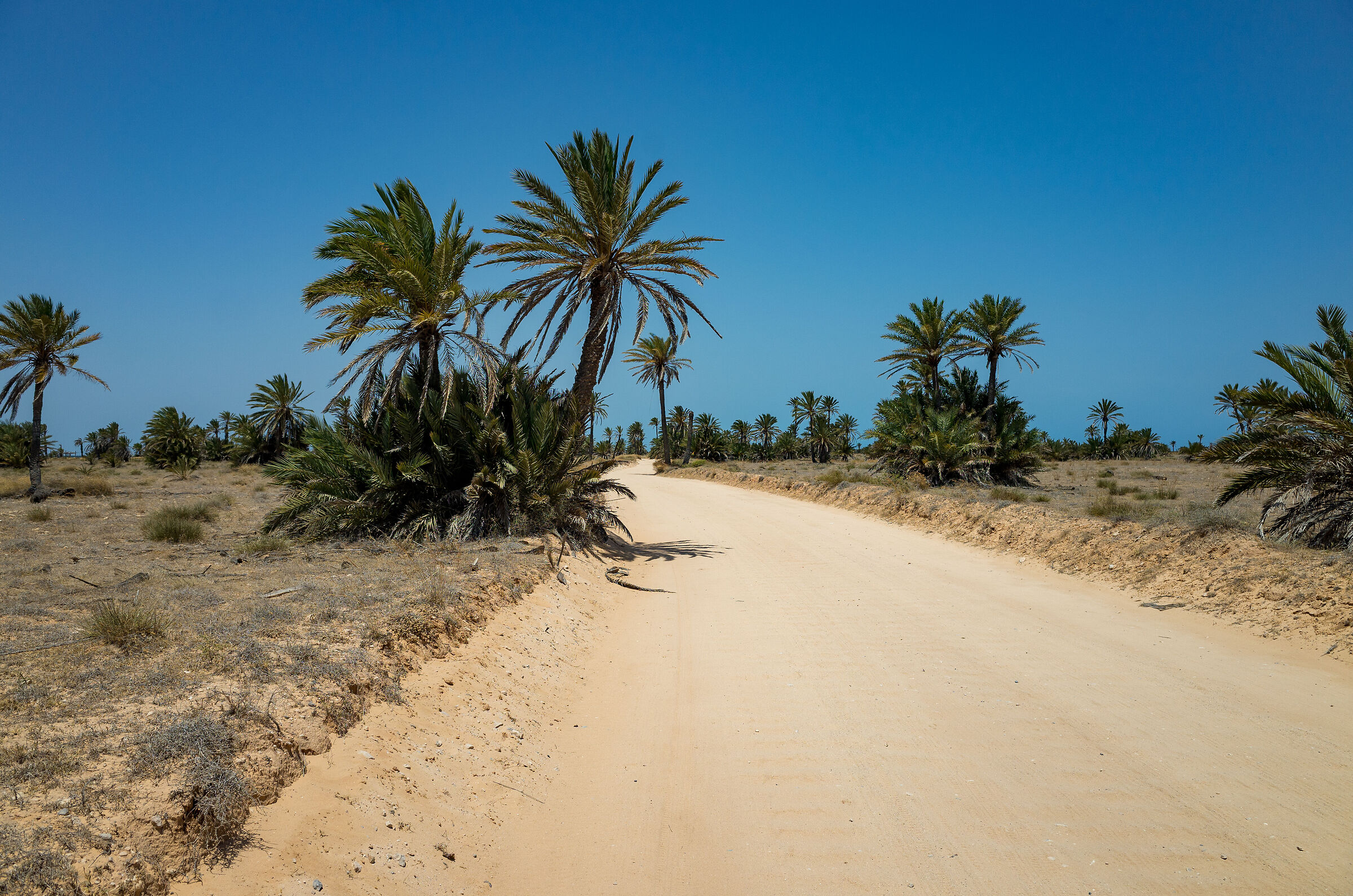 Route