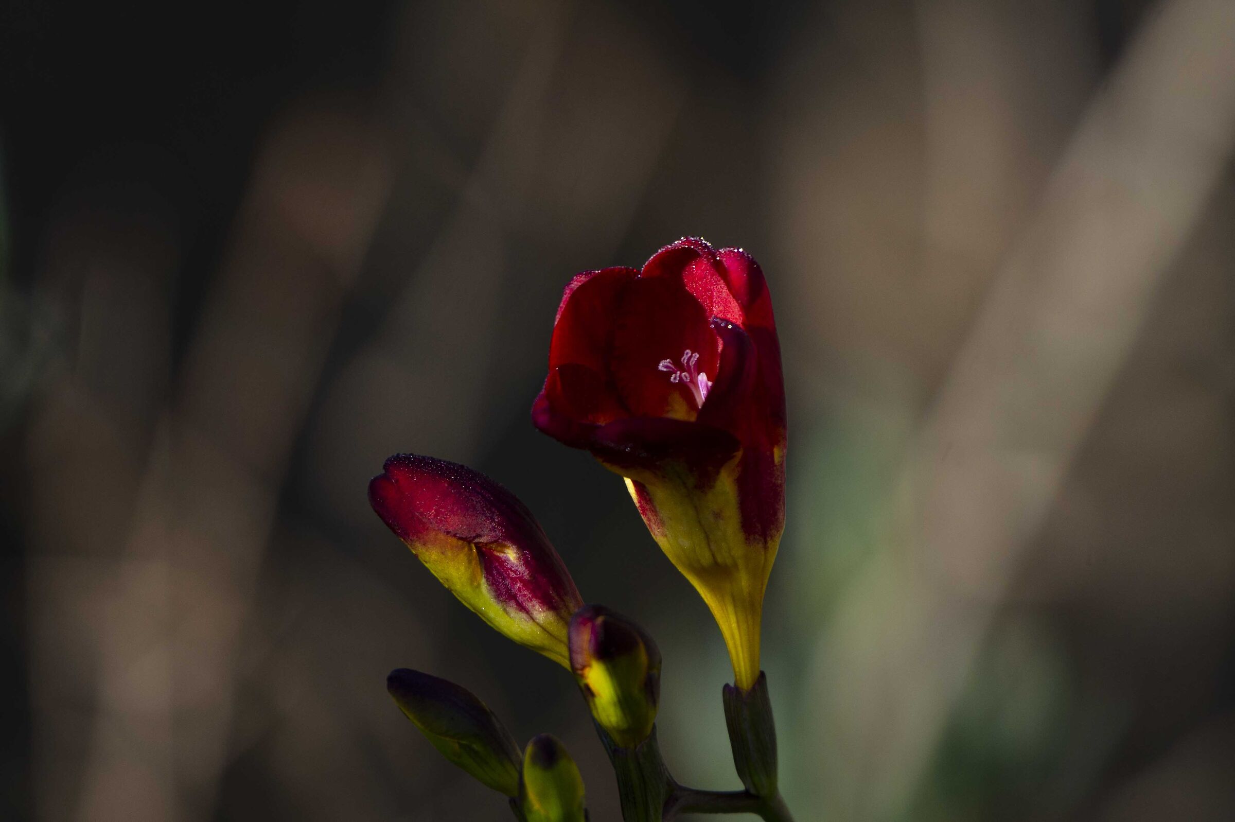 Untitled Photo