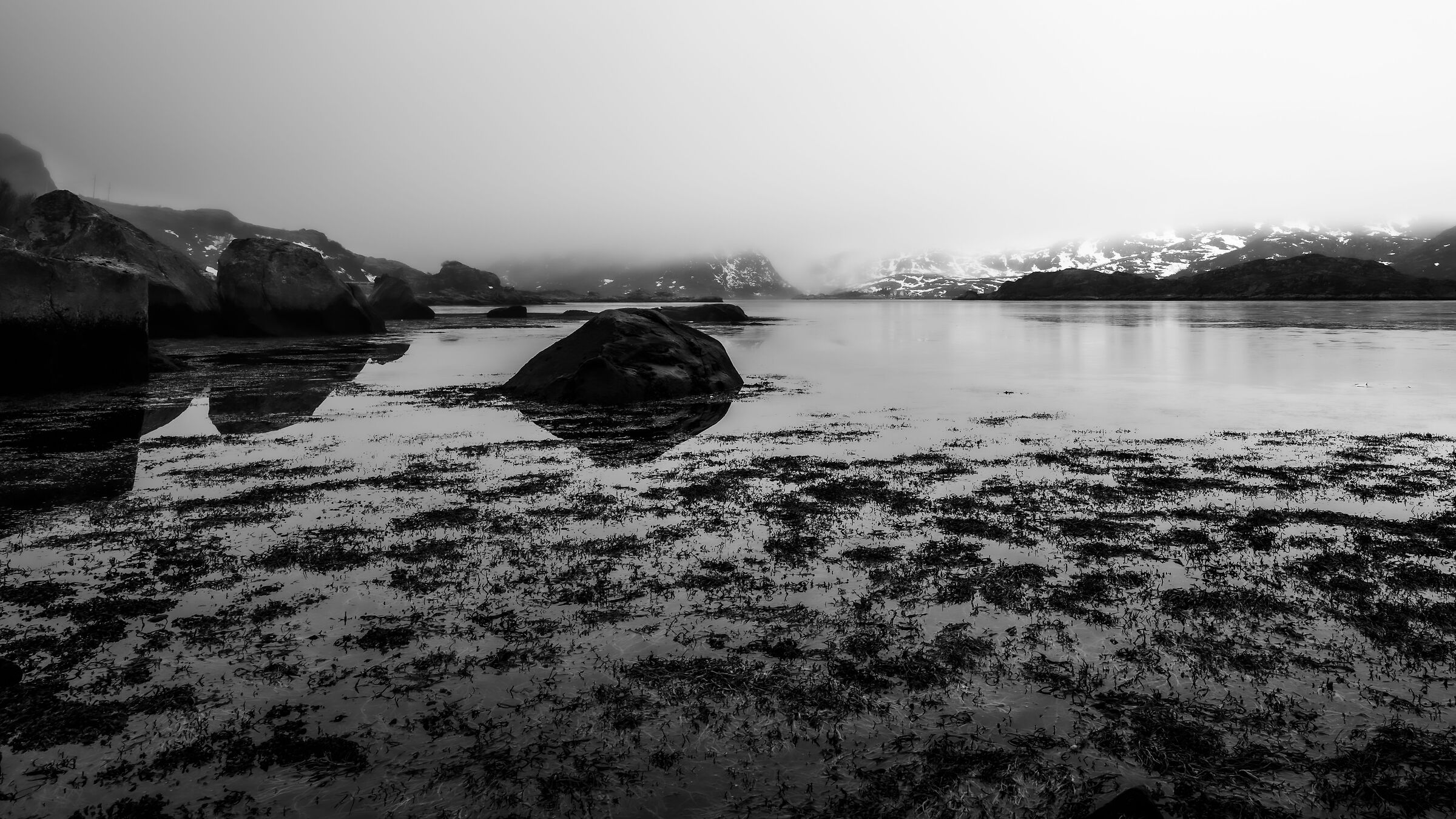Low tide somewhere in the Lofoten Islands