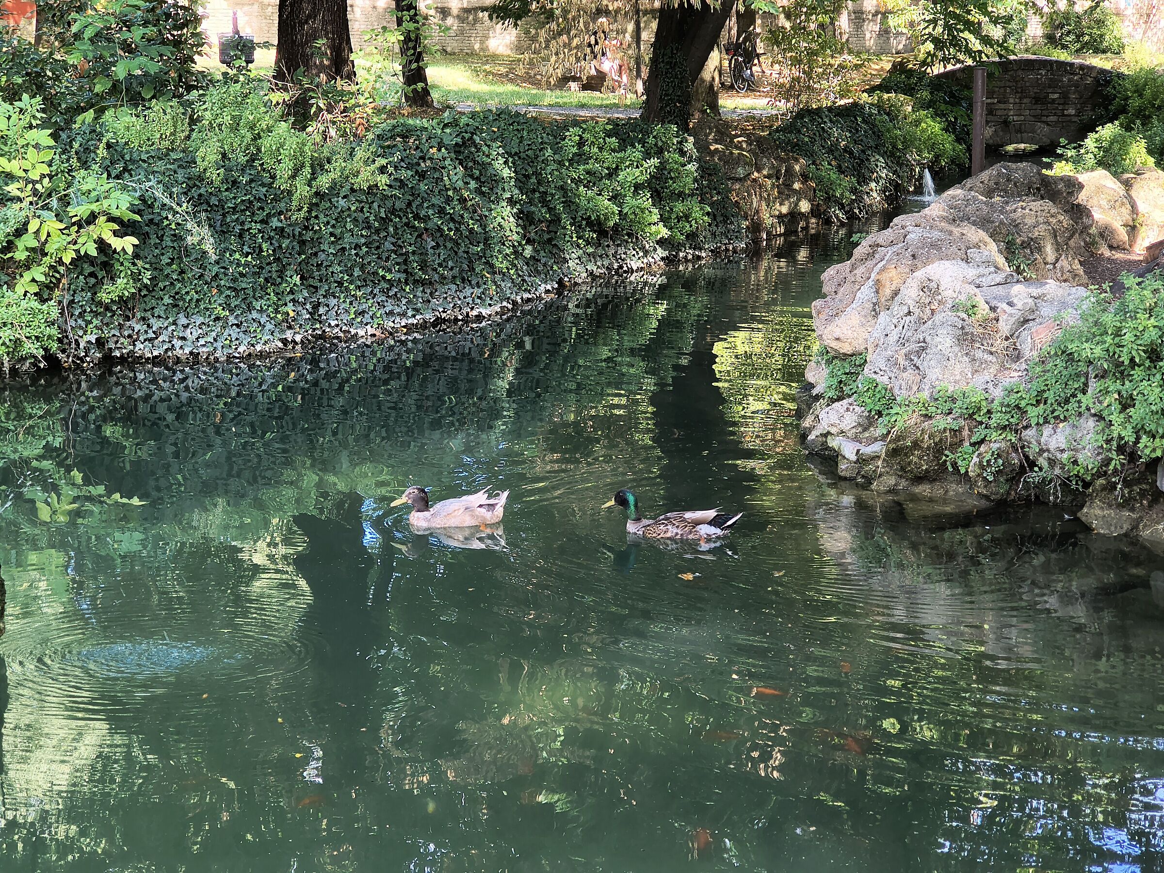 Me too at the Ducal Gardens of Modena