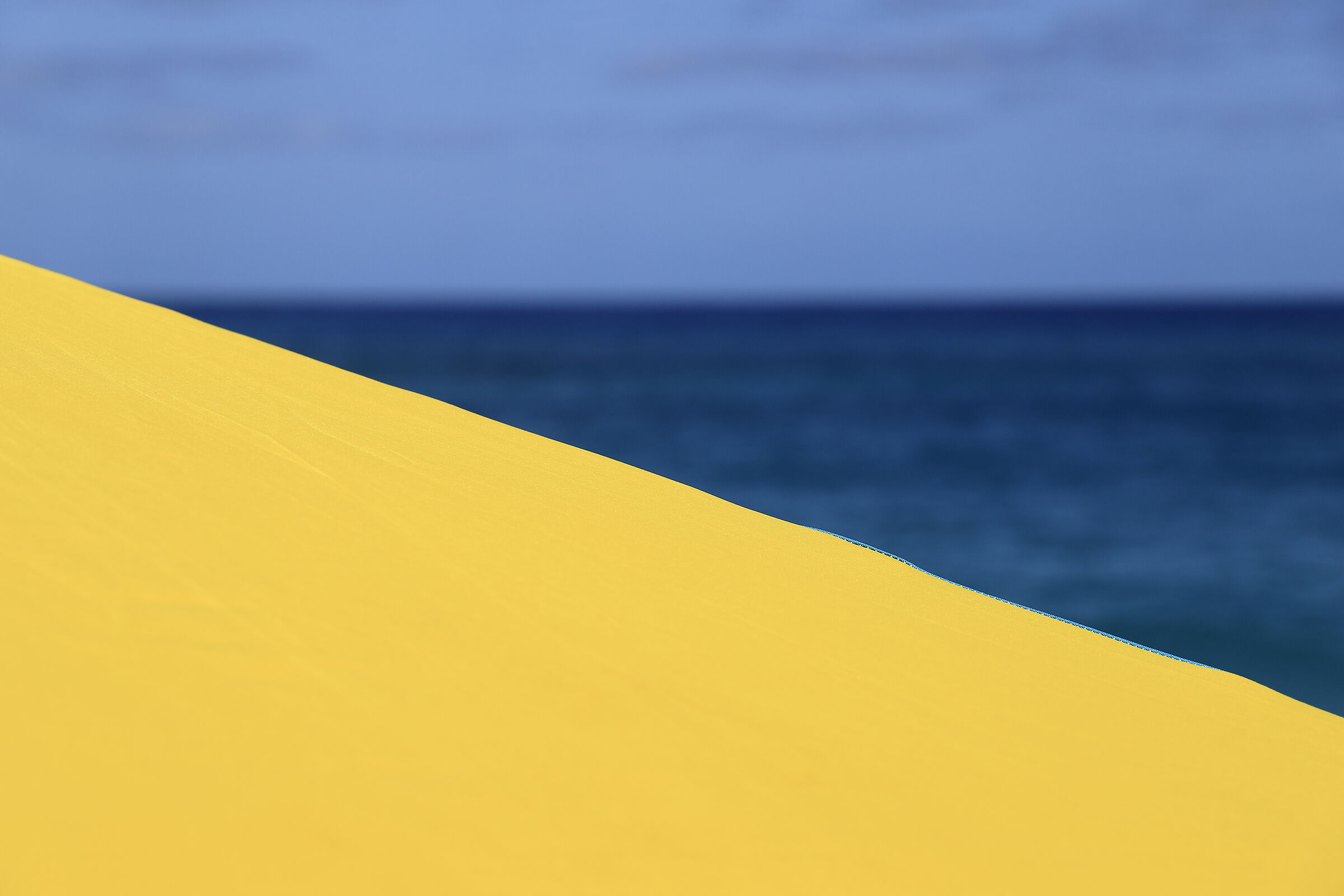 Yellow Summer