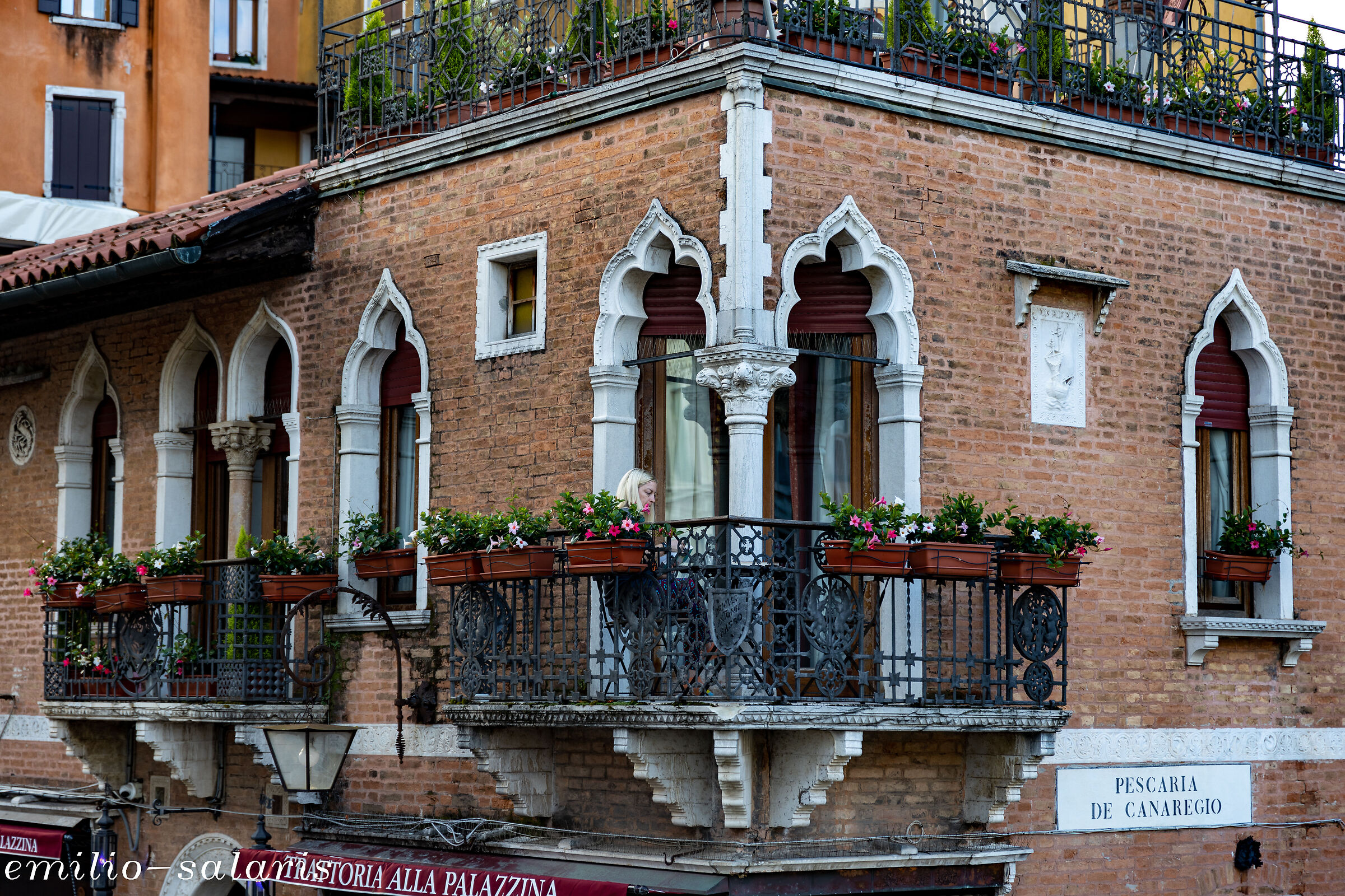 THE VENETIAN EARLY BIRD