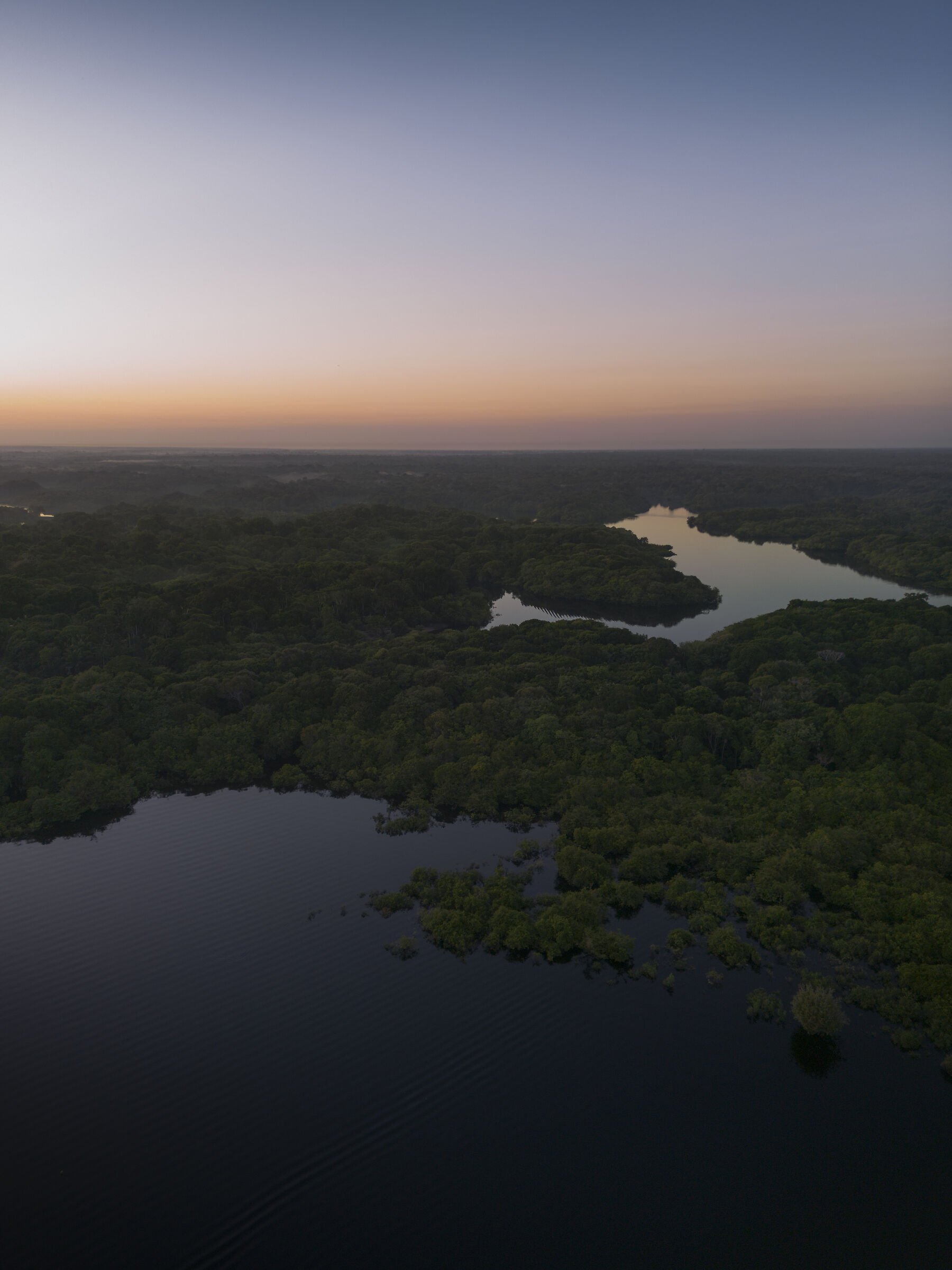 Amazon Sunrise