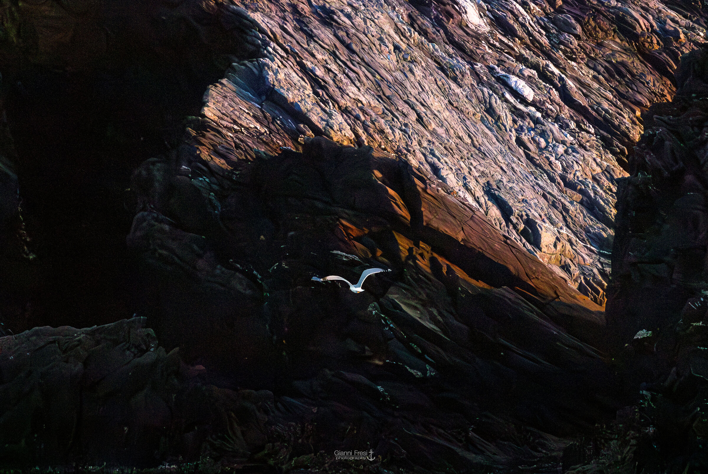 Last light on Capo Falcone
