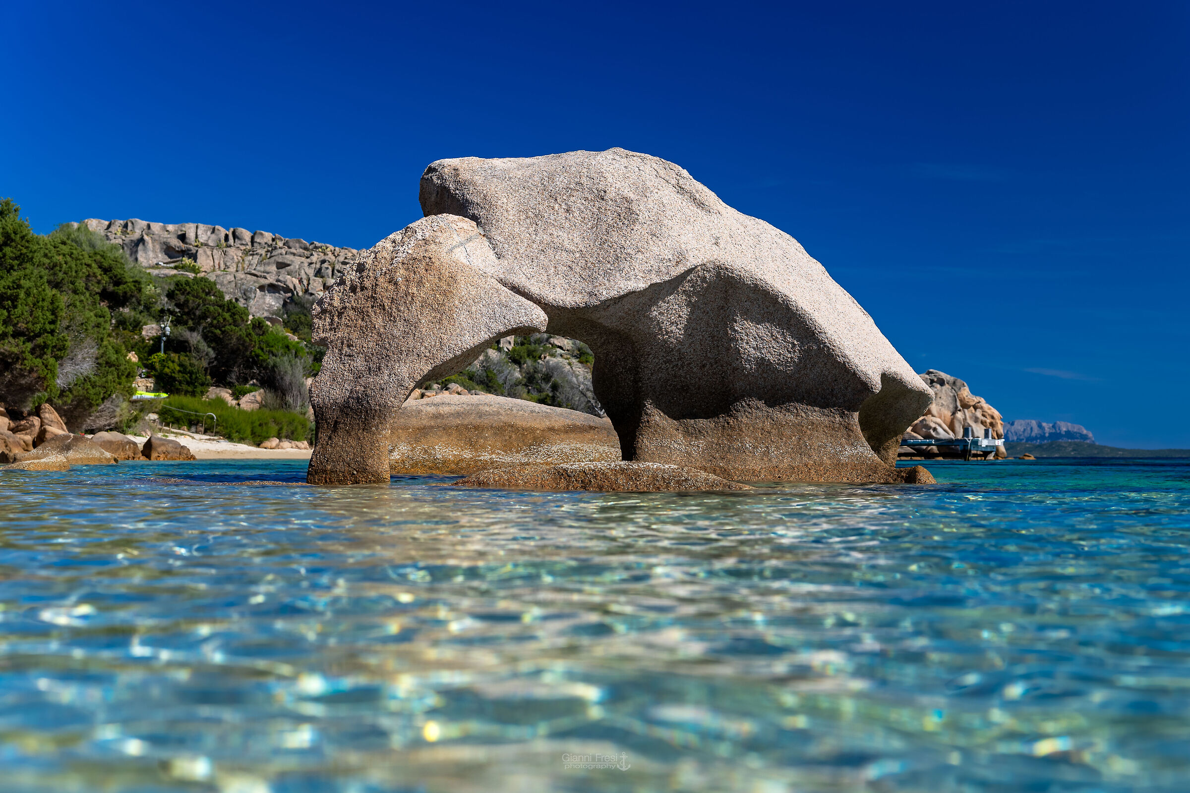 The Elephant Beach