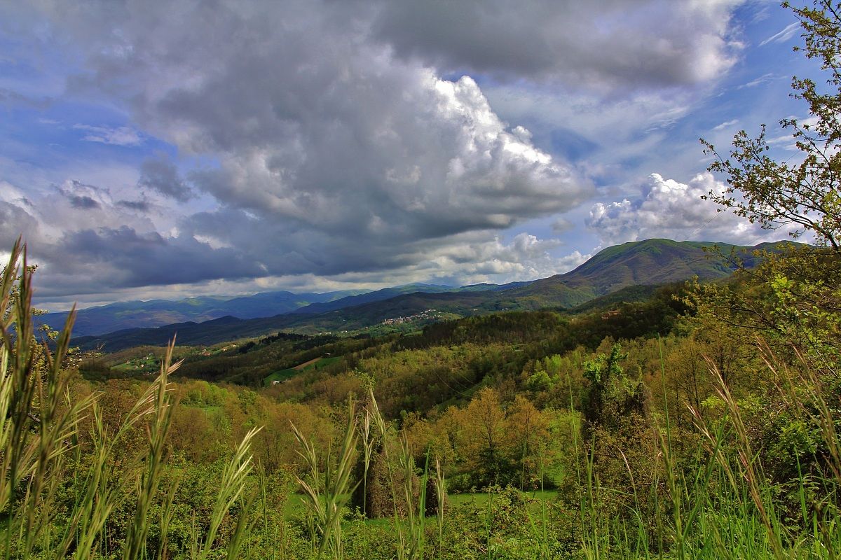 Costa di Castagnola - Bedonia - Tornolo e monte Zuccone