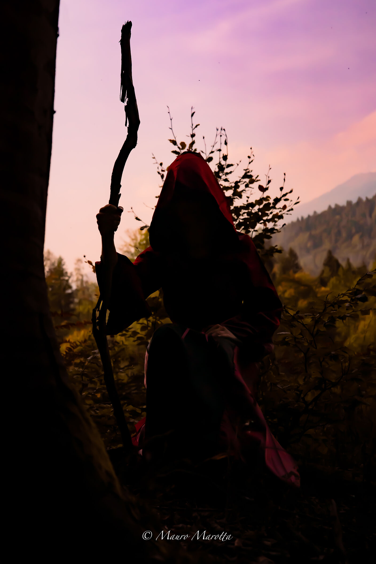 The Druid