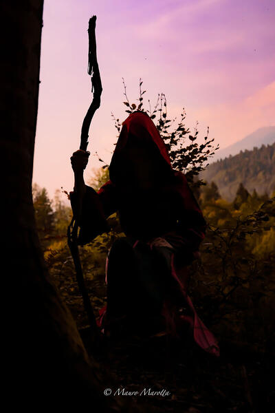 Foto