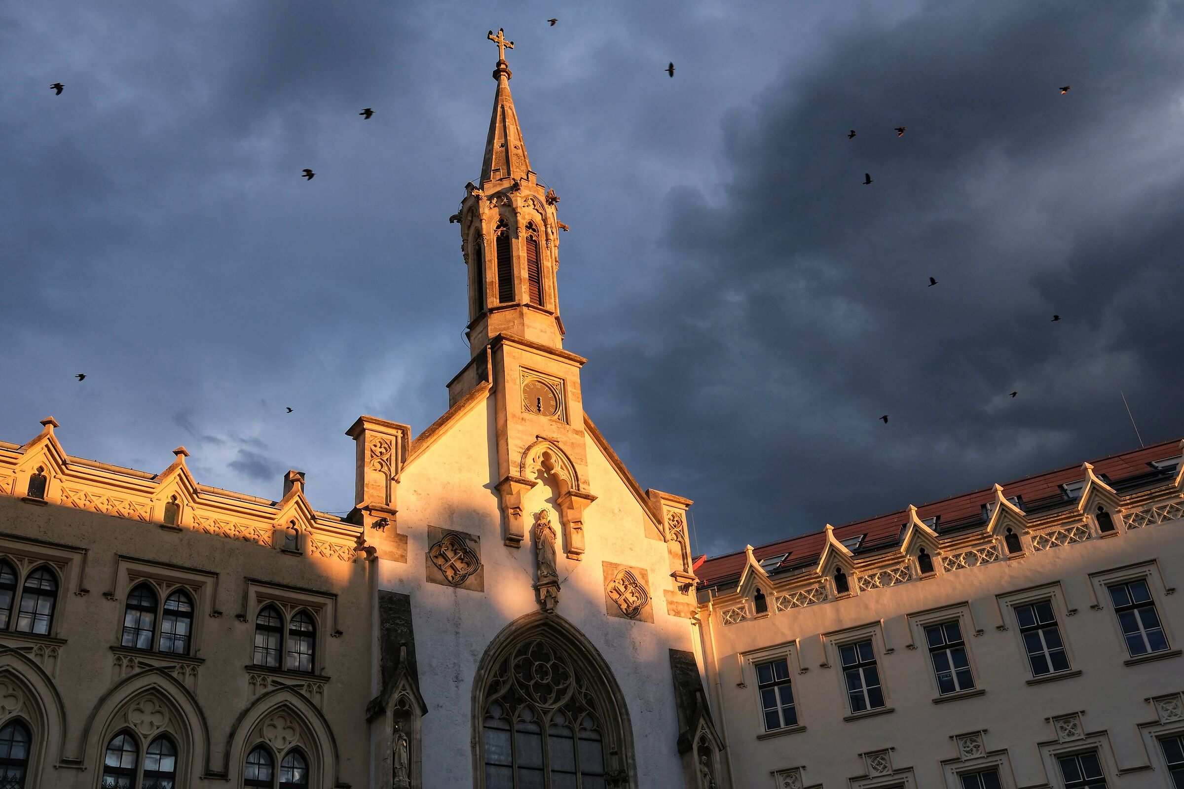 Birds above the tower