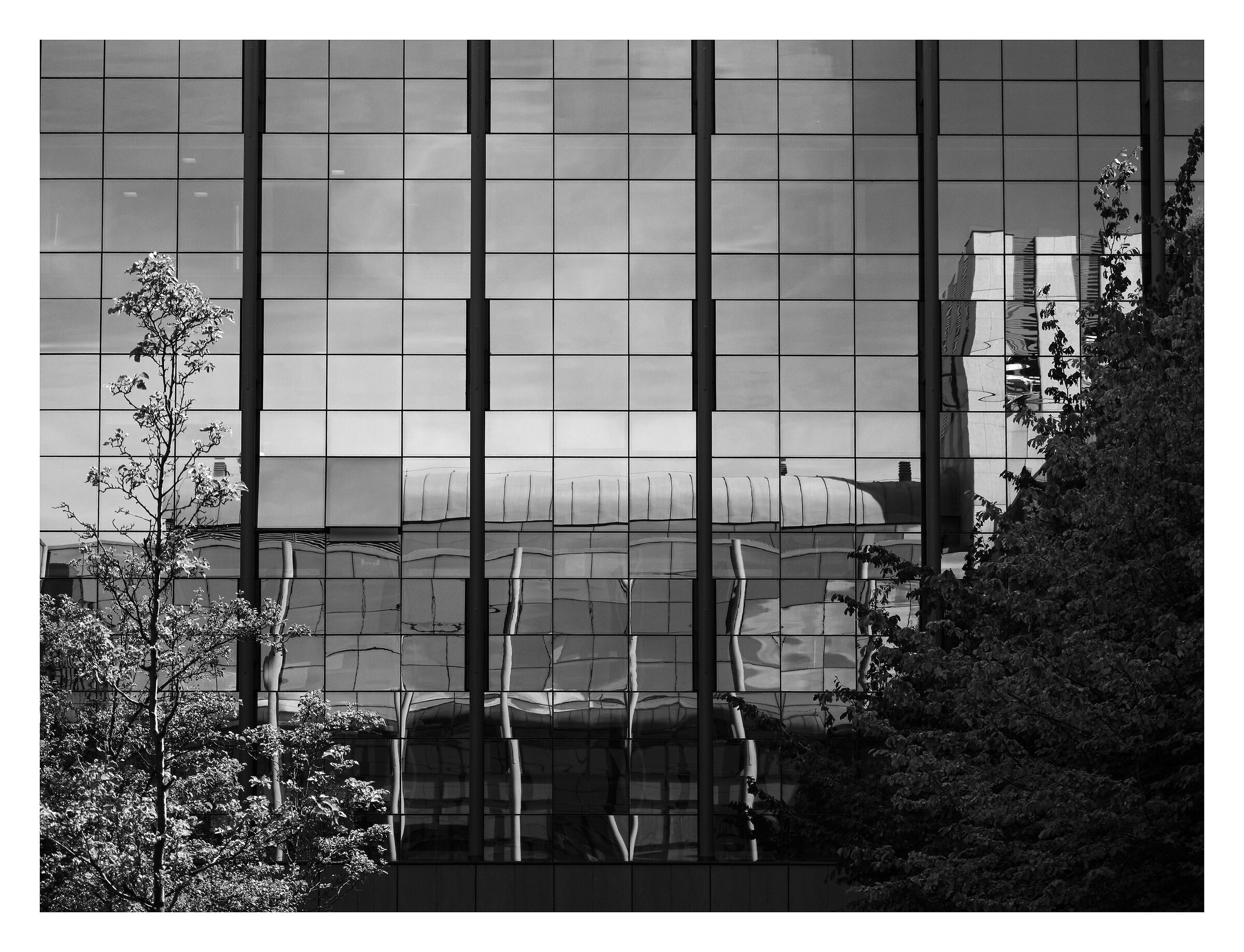 riflessi architettonici