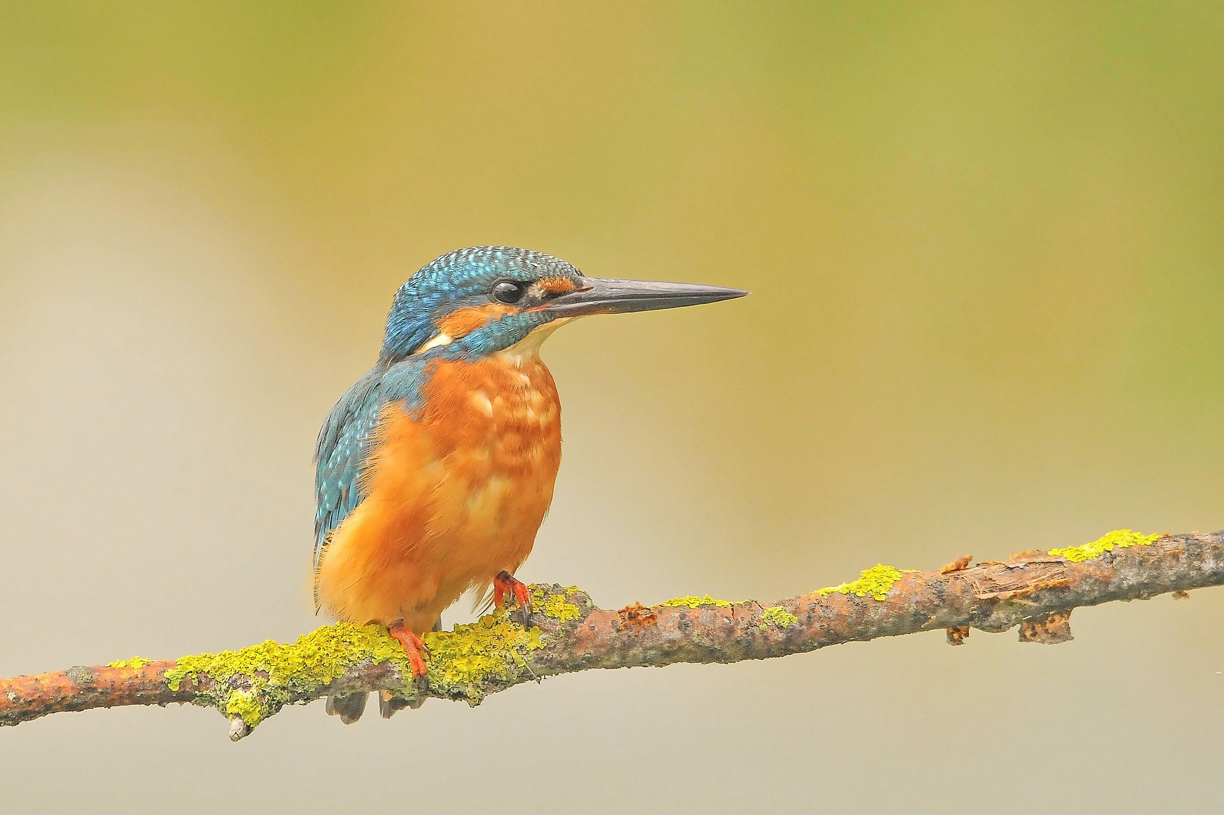 posing...