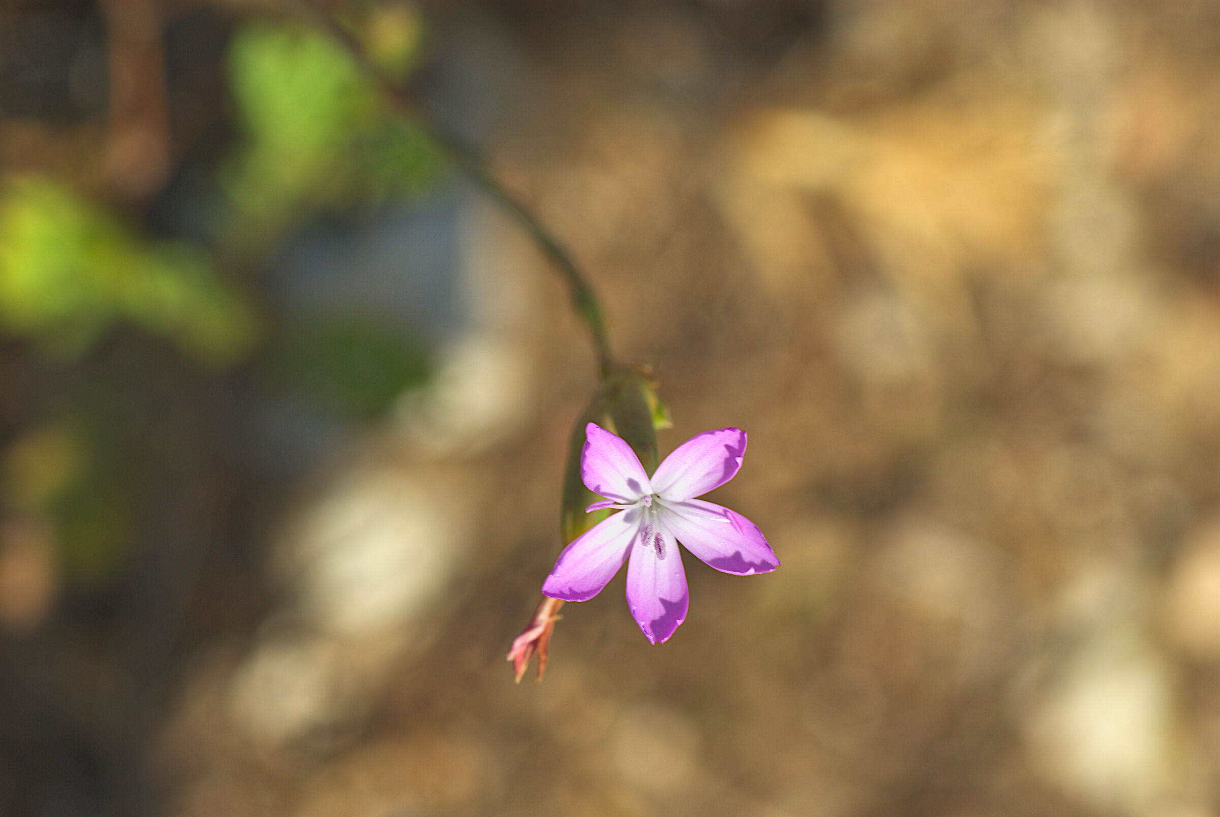 Untitled Photo