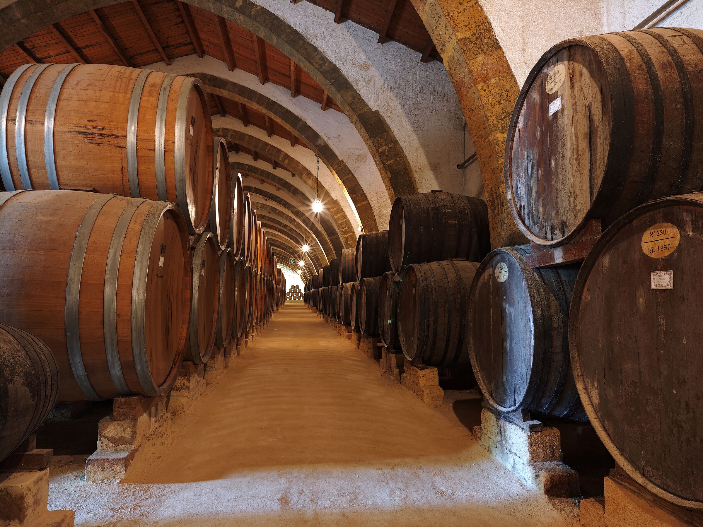 Cantine Florio wide 3