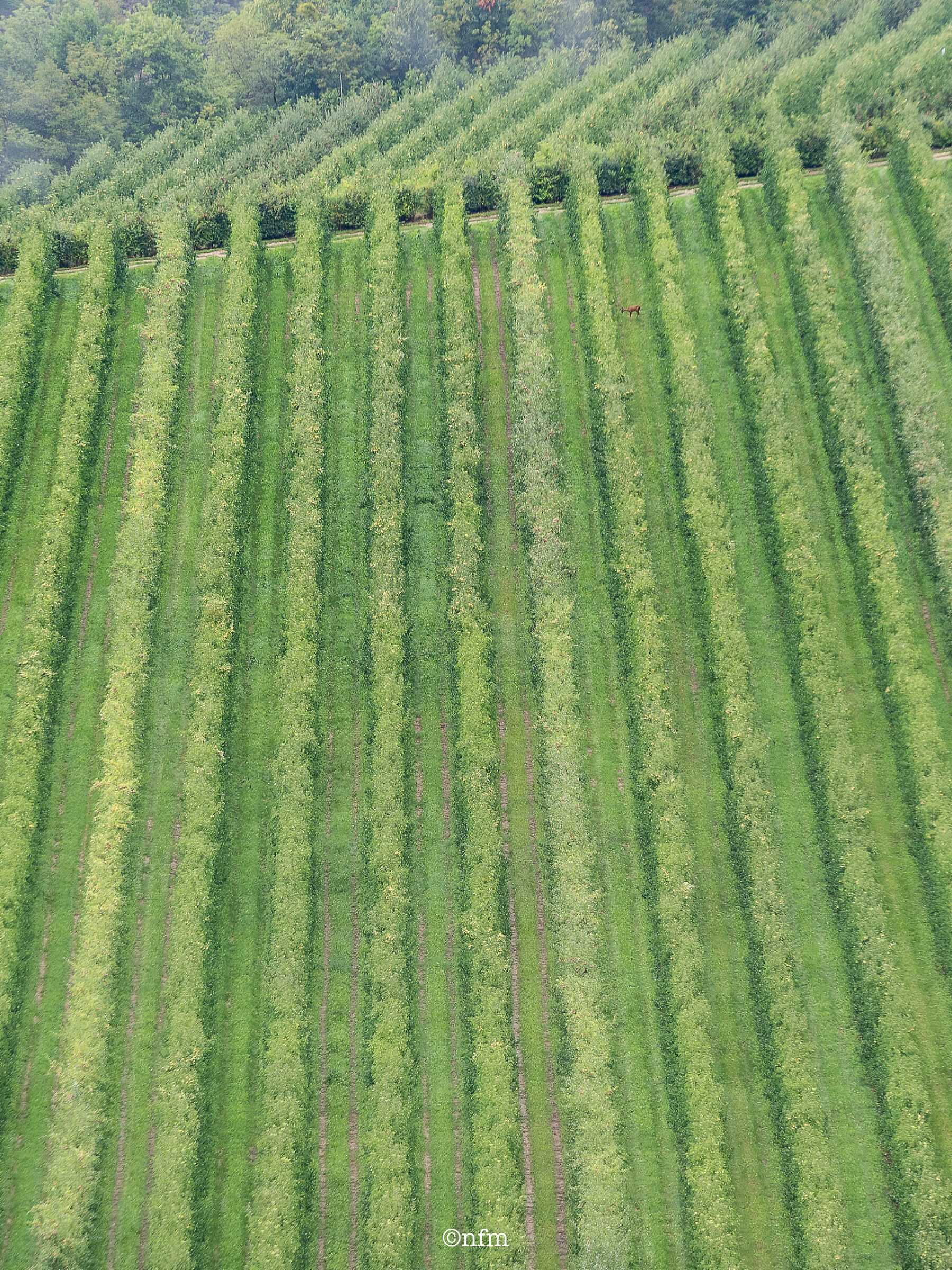 September impressions