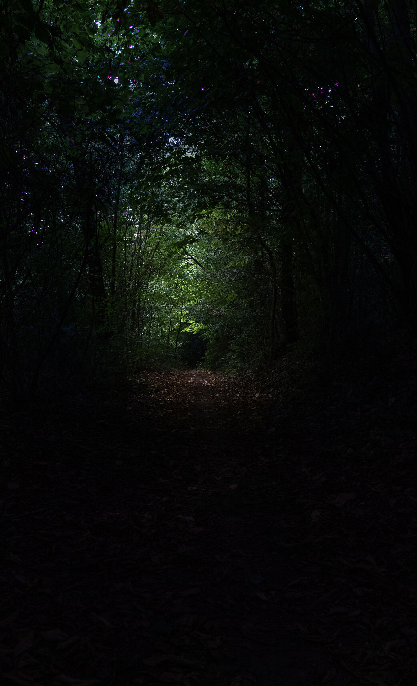 the light at the end of the tunnel