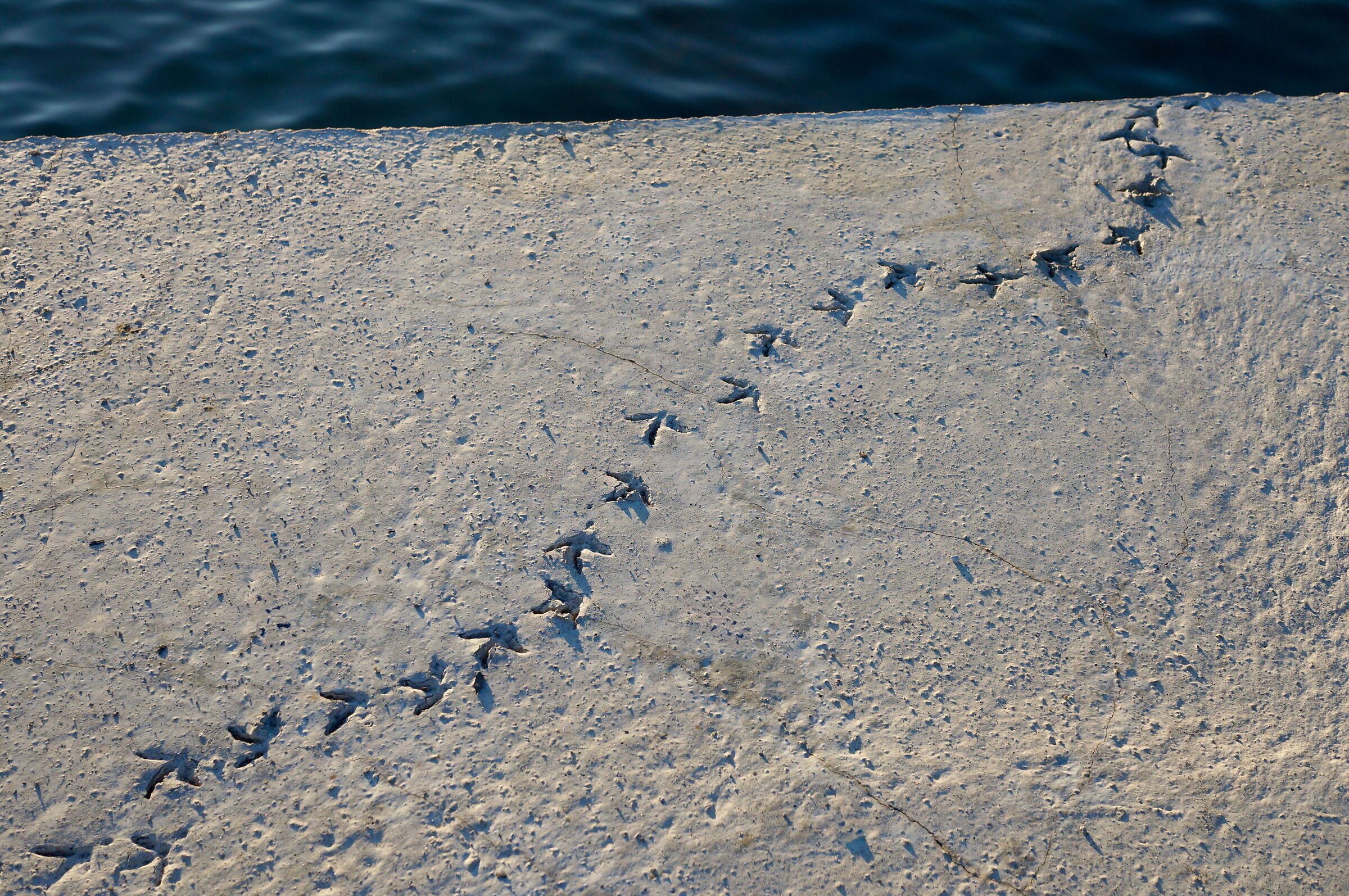 Hollywood Walk of Fame
