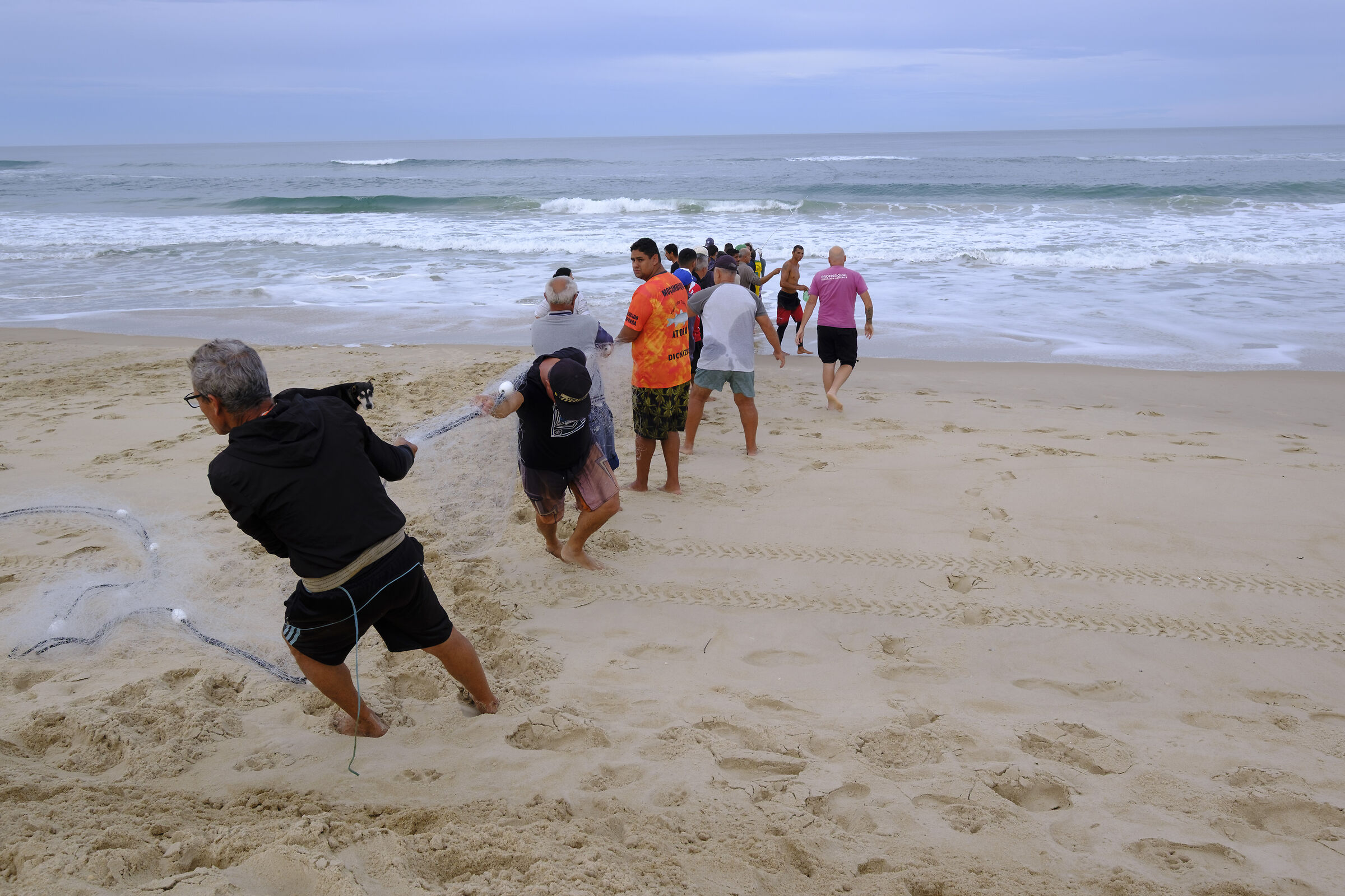 All together to pull the nets