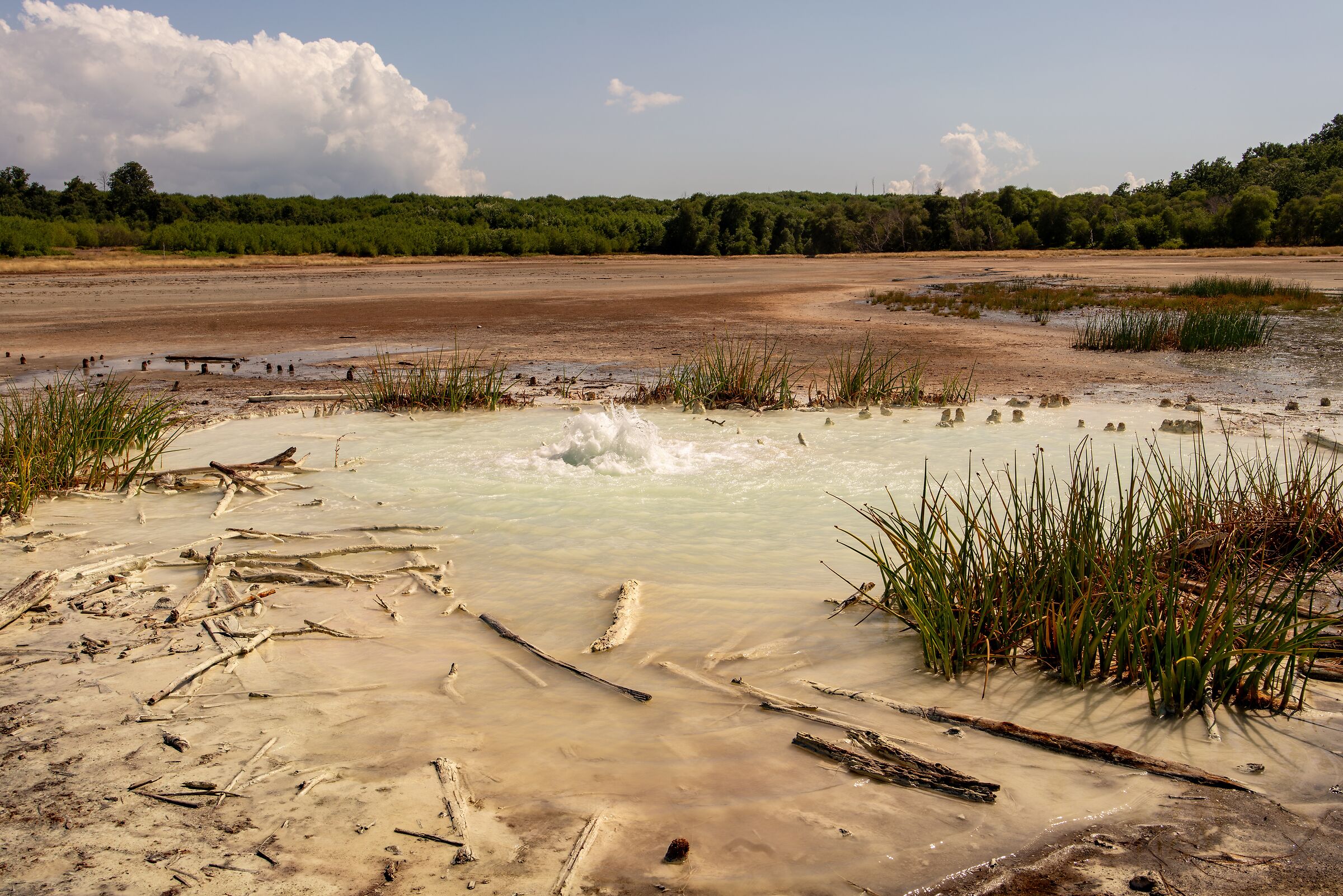 Sulphurous water pool in Manziana