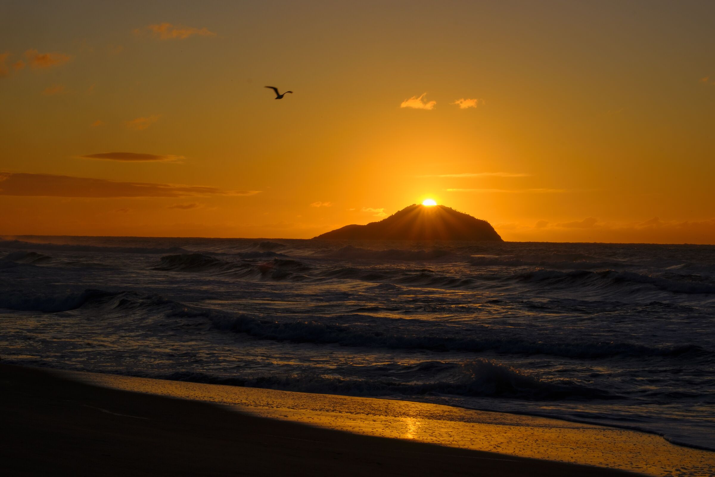 Dawn