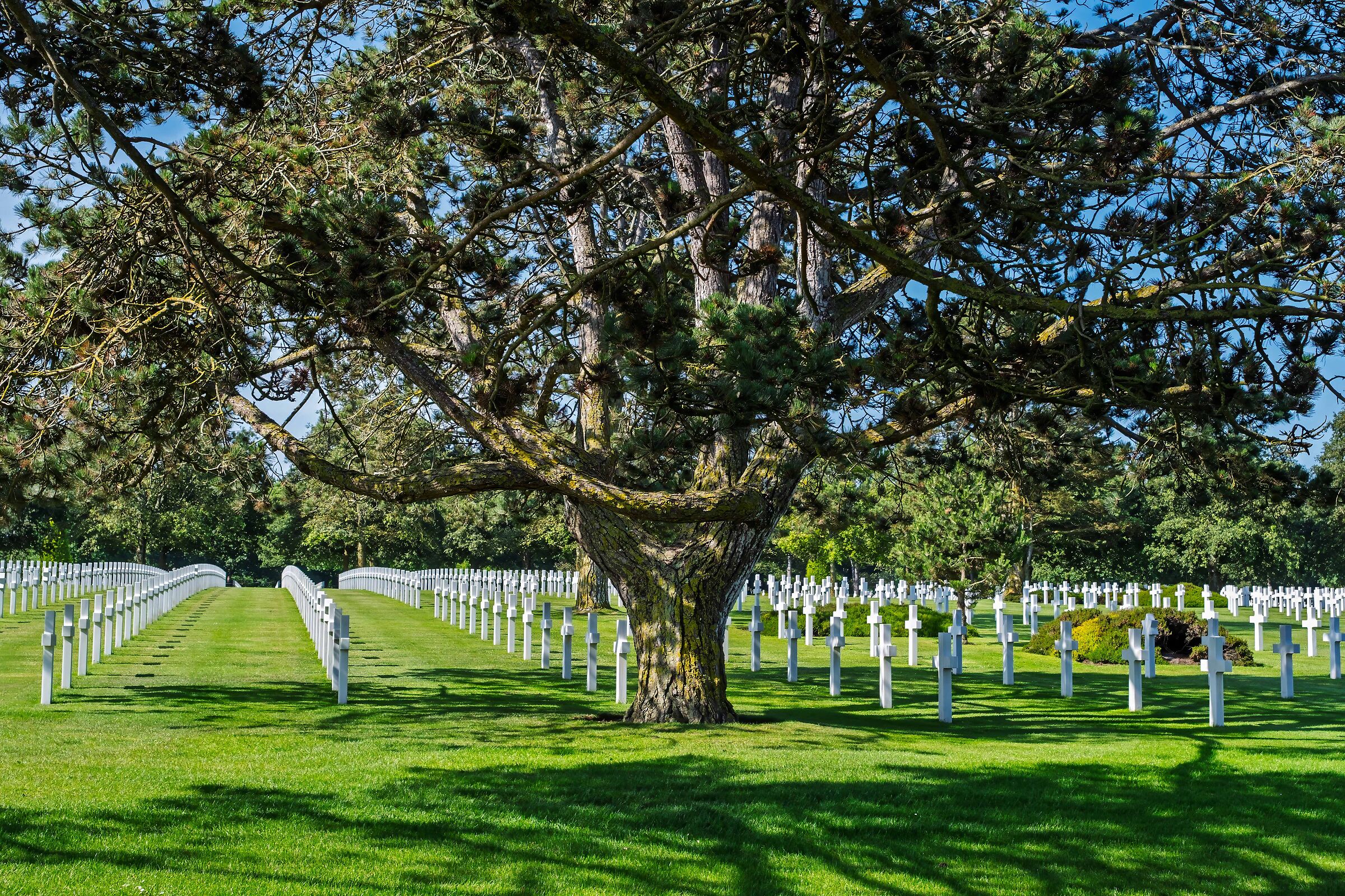 Normandy American Cemetery