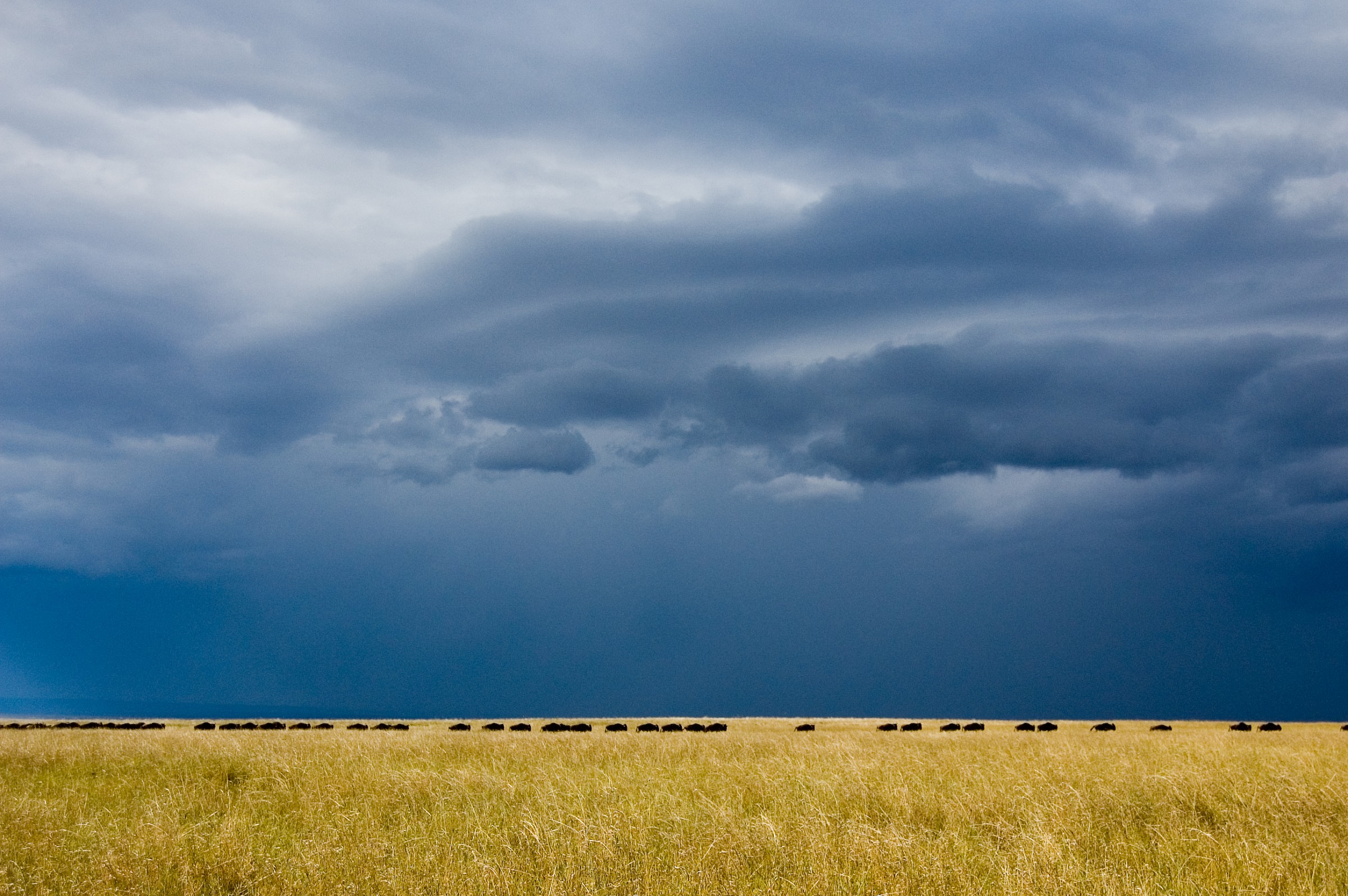 the beauty of the Masai Mara
