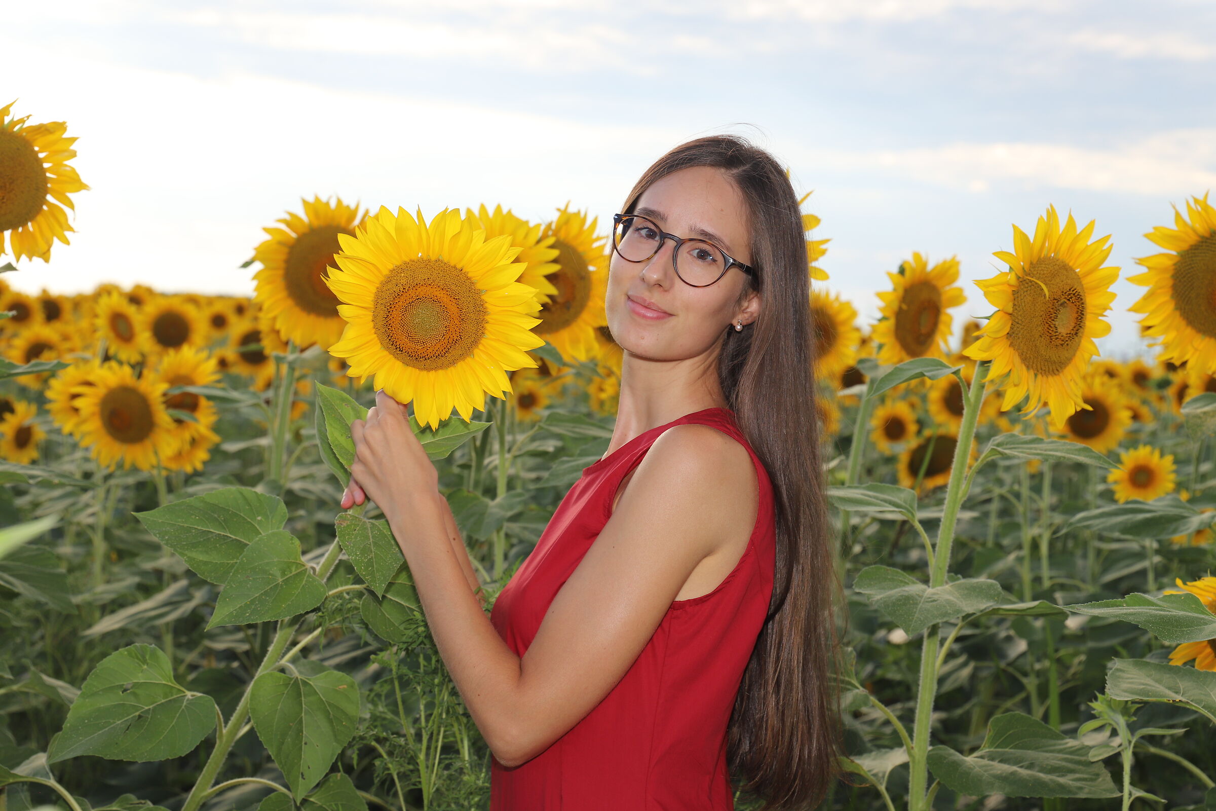Martina and the sunflowers