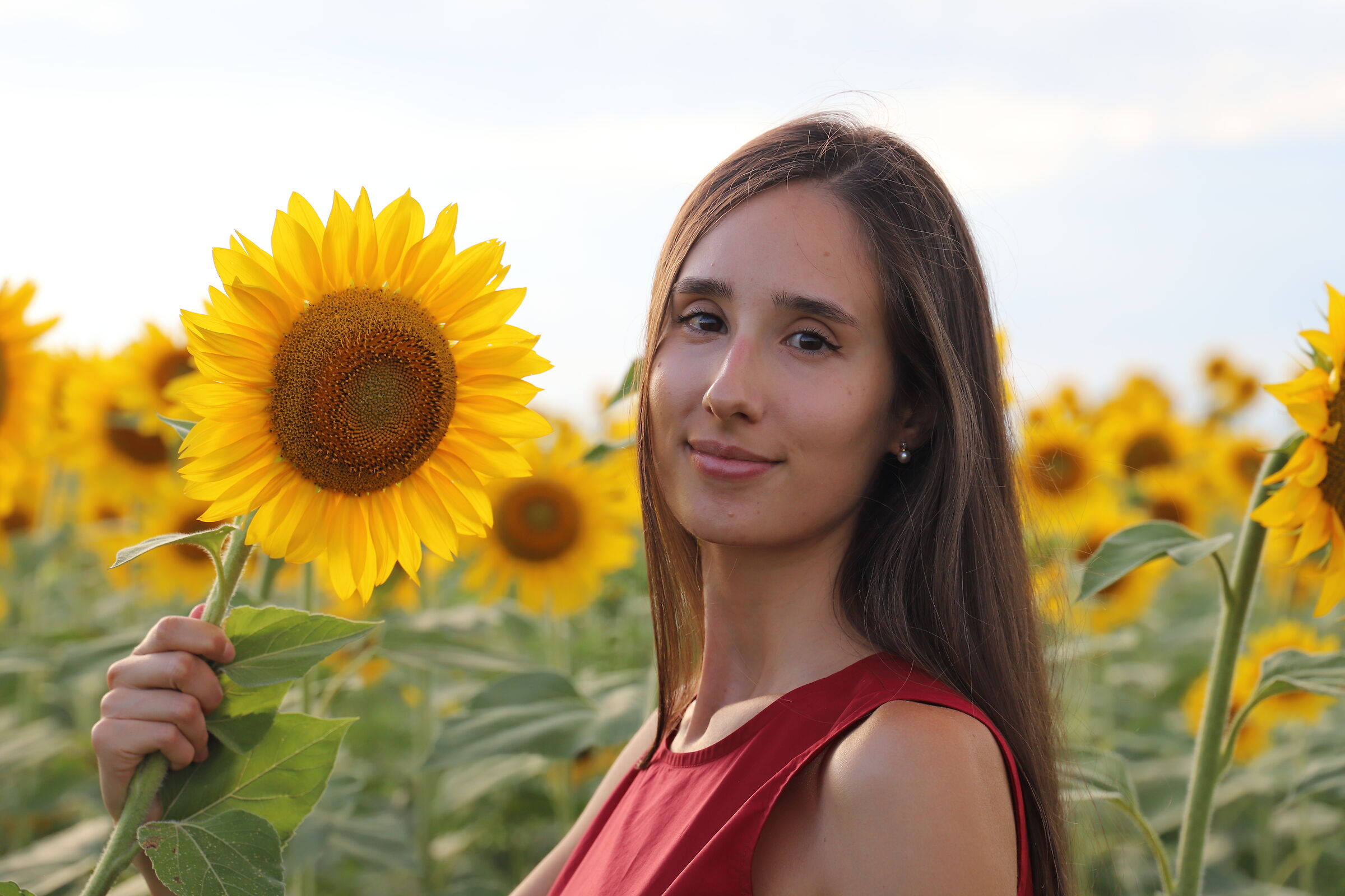 Martina and the sunflowers