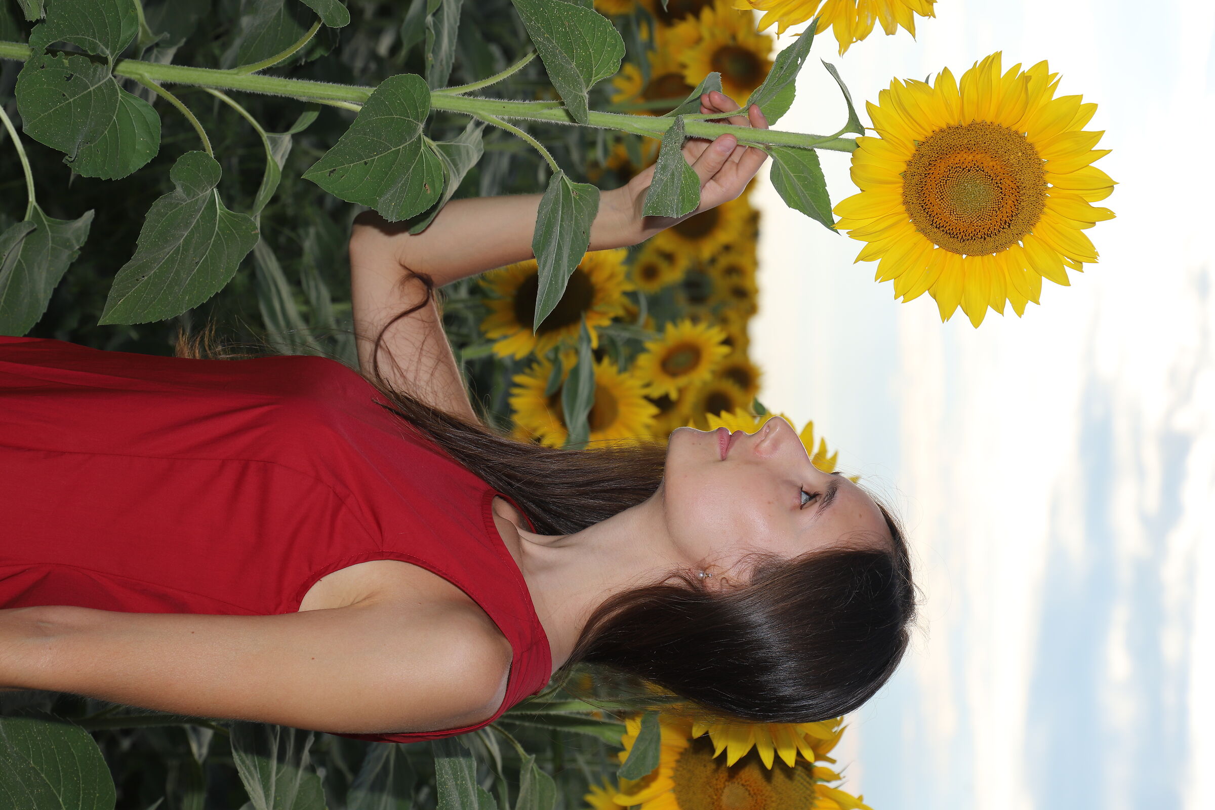 Martina and the sunflowers