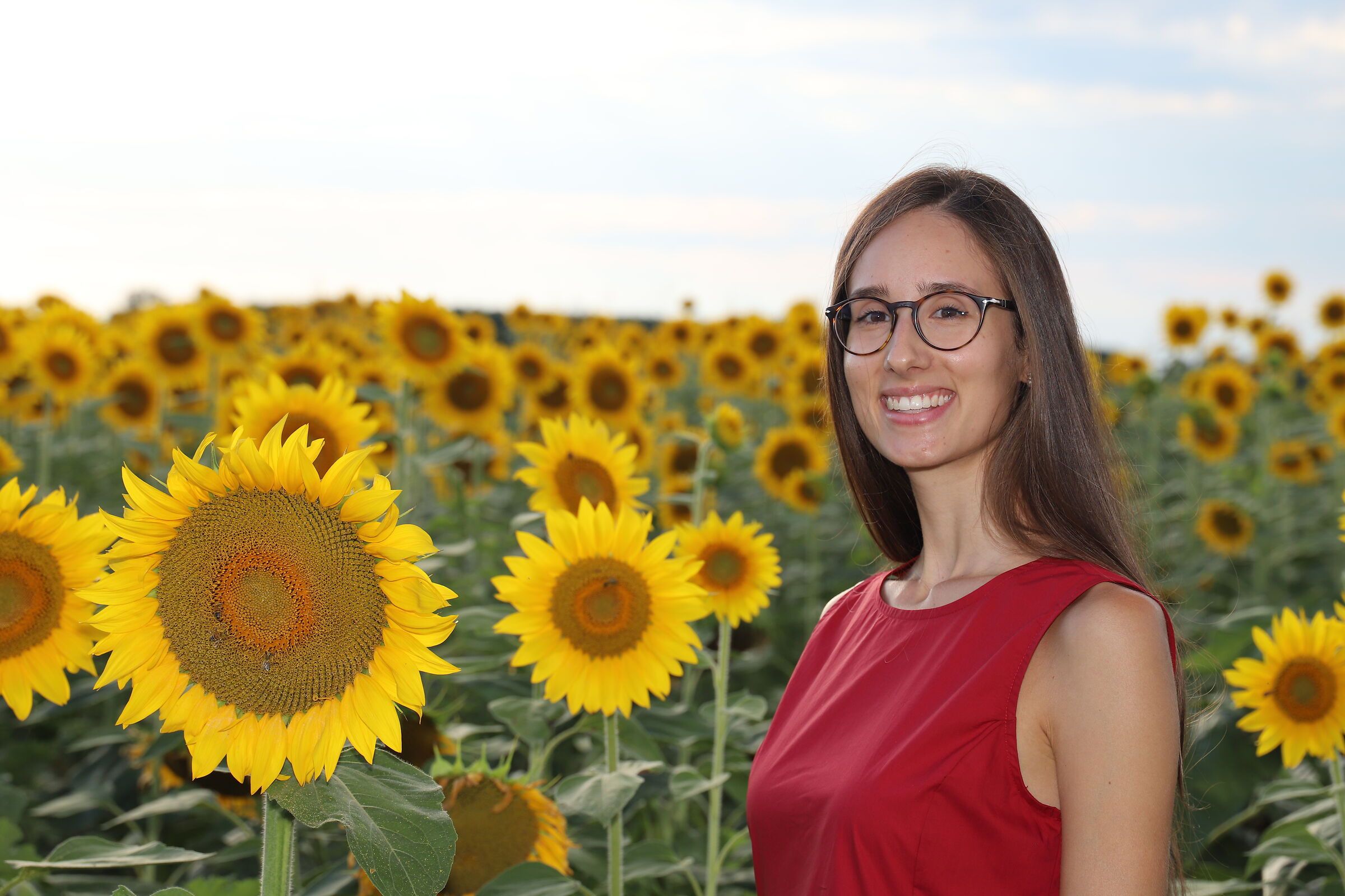 Martina and the sunflowers