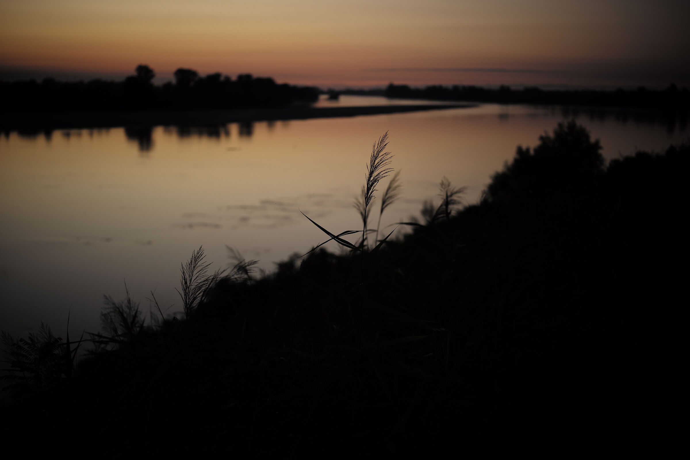 Prime luci del giorno