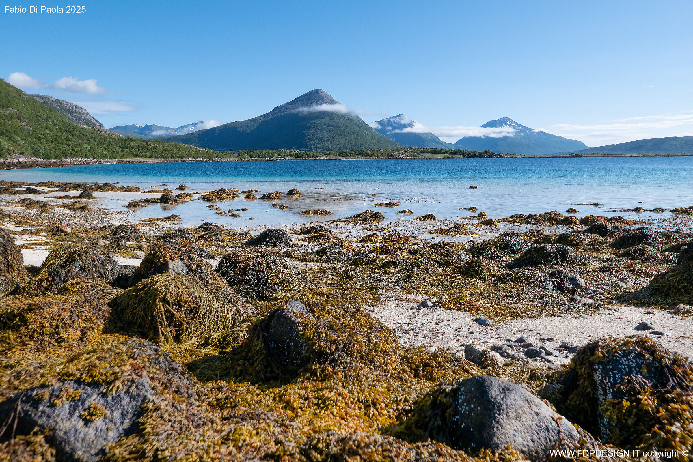 Lofoten Dream