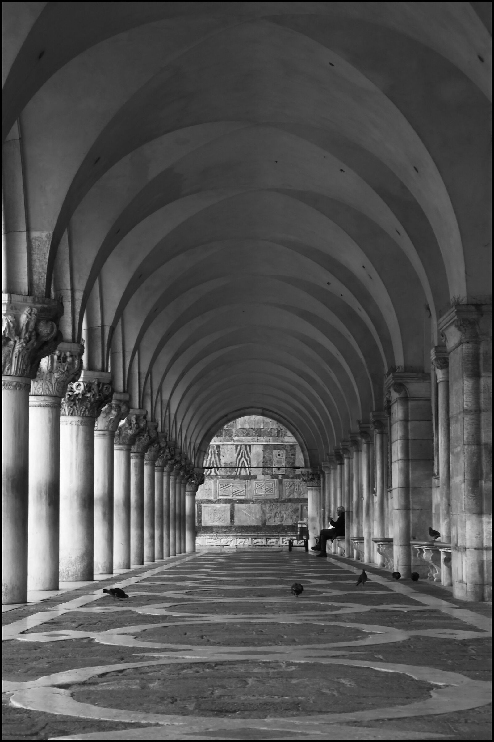 Piazza San Marco. Vita da pensionato veneziano
