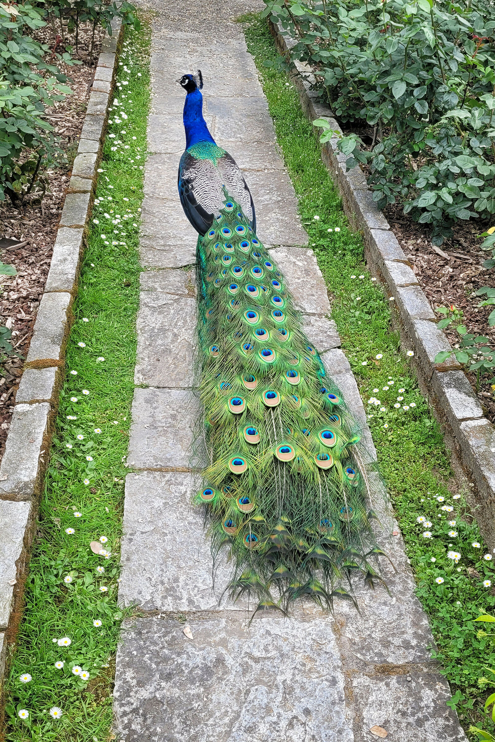 A passeggio nel parco