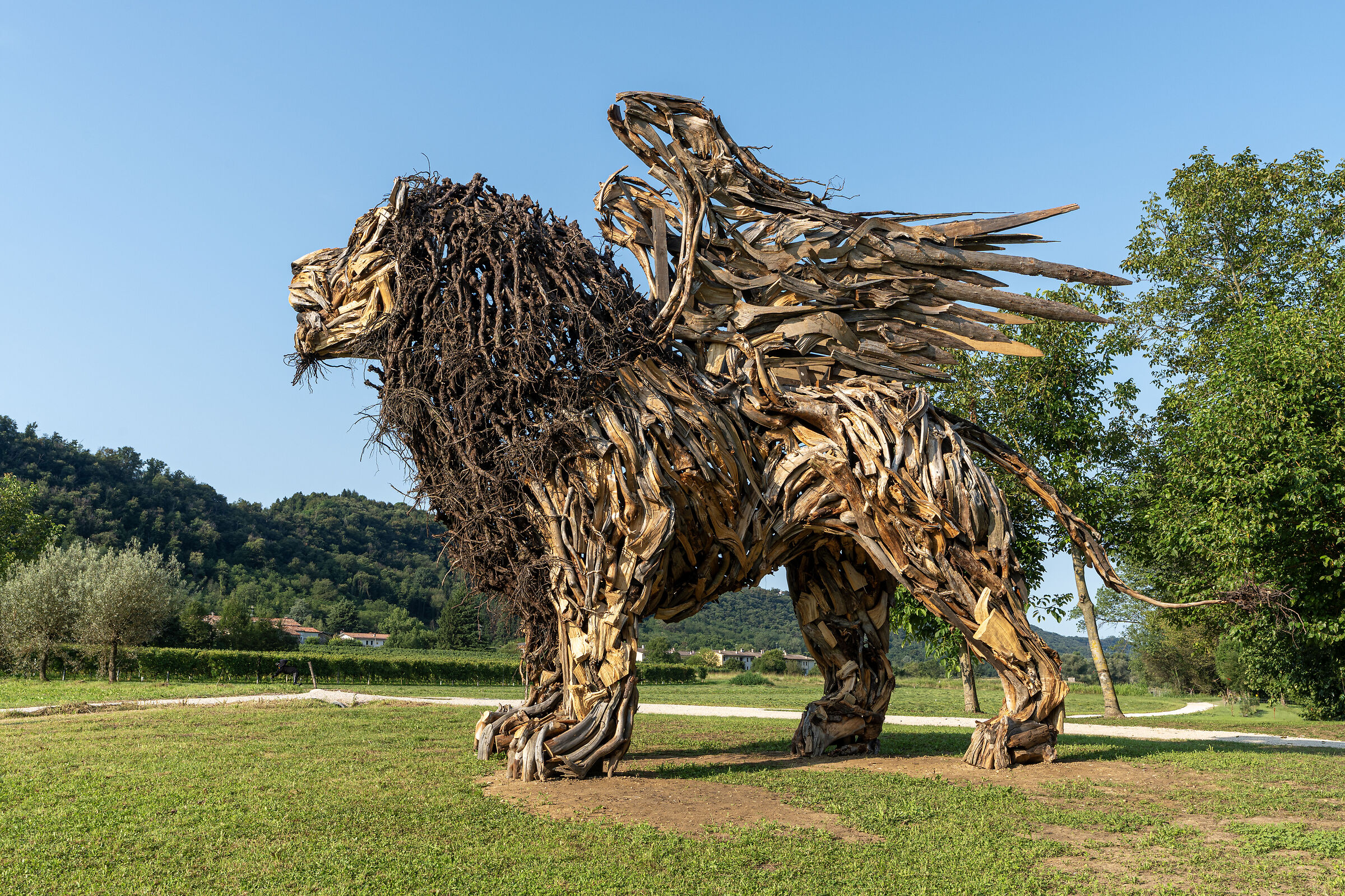 Leone alato di vaia