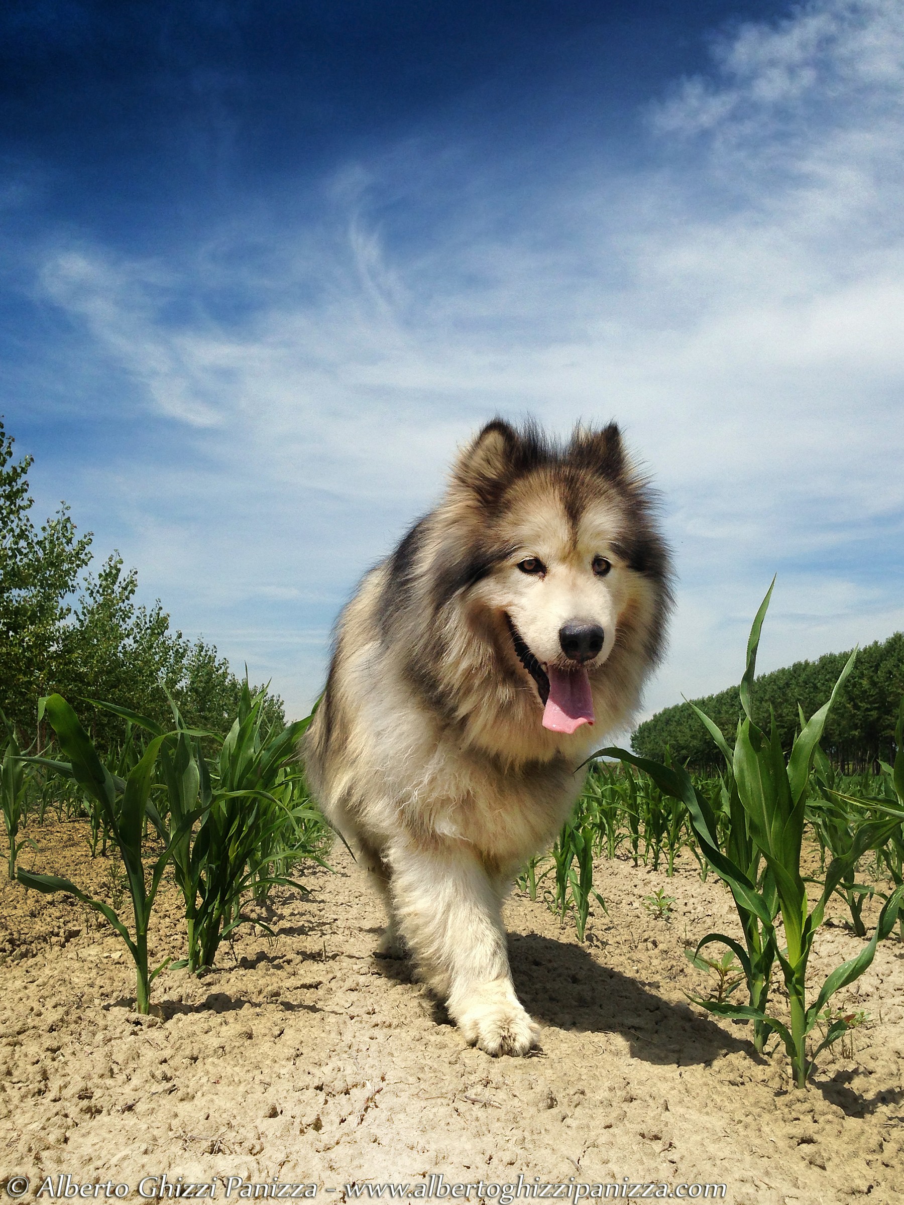 And 'perhaps the case that exploits more my cell phone?