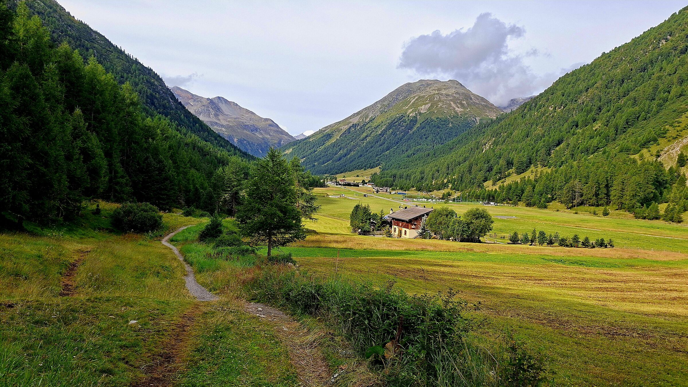 Vista sulla Forcola di Livigno