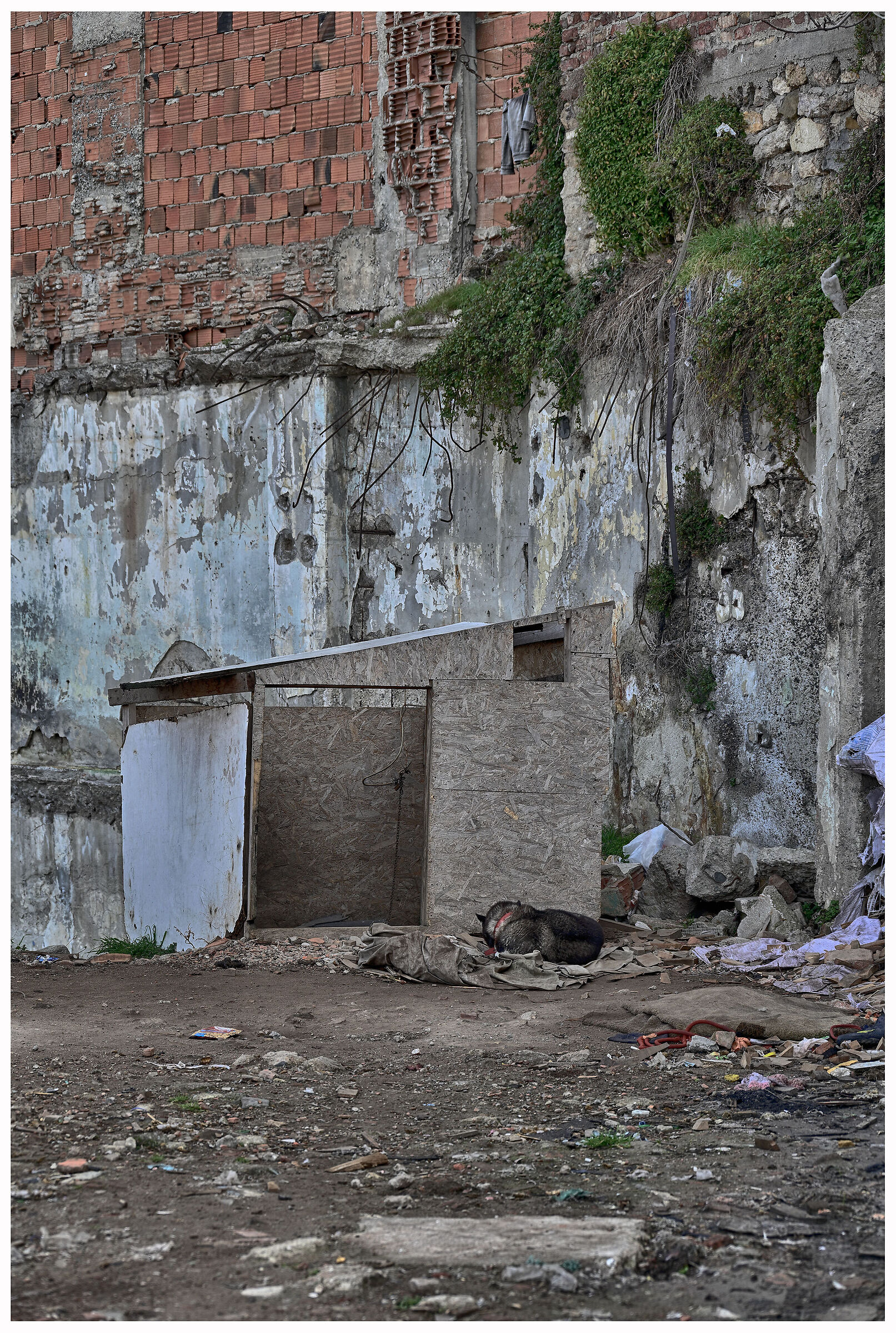 Istanbul ai margini 10