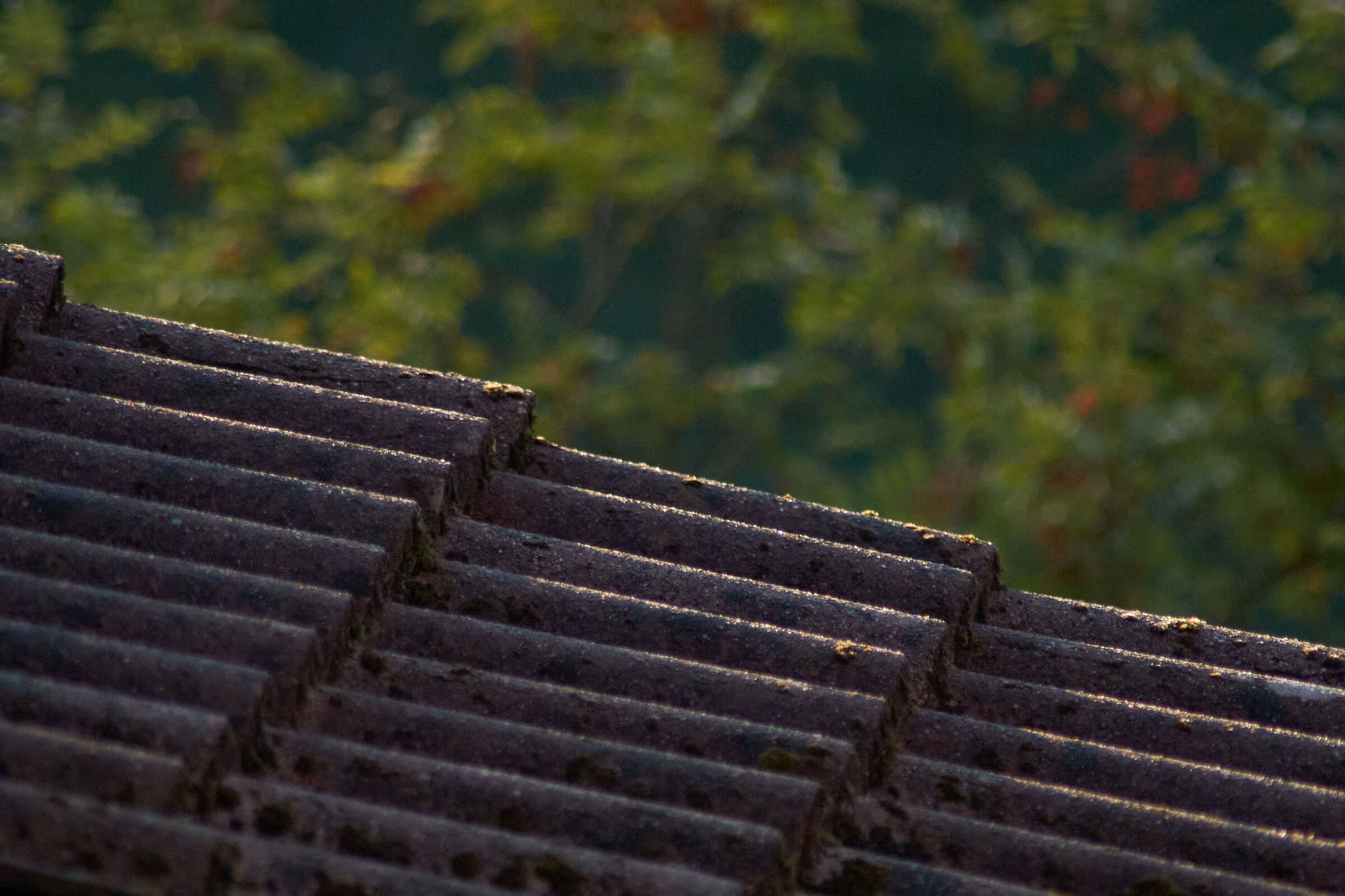 Roof light with background 1