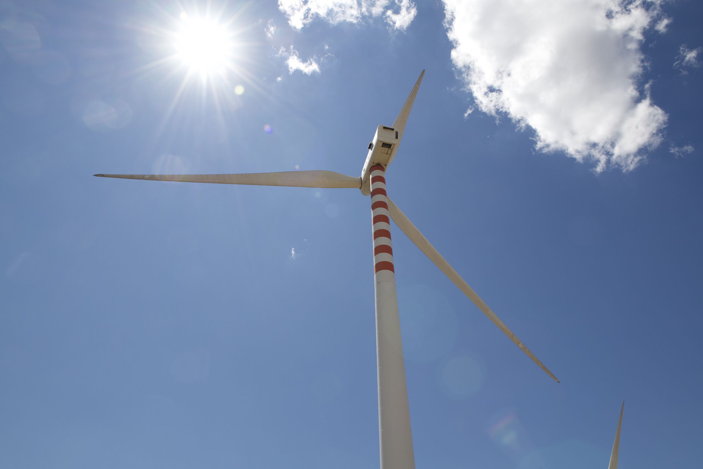 Summer Chaired Clean Energy