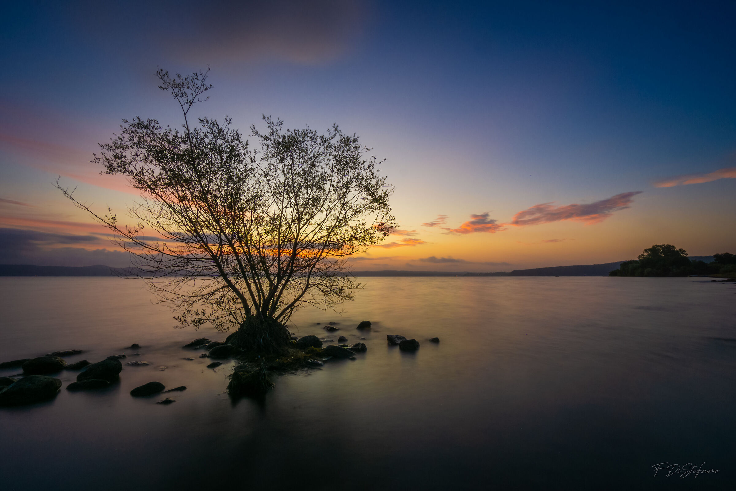 Poco prima dell'alba