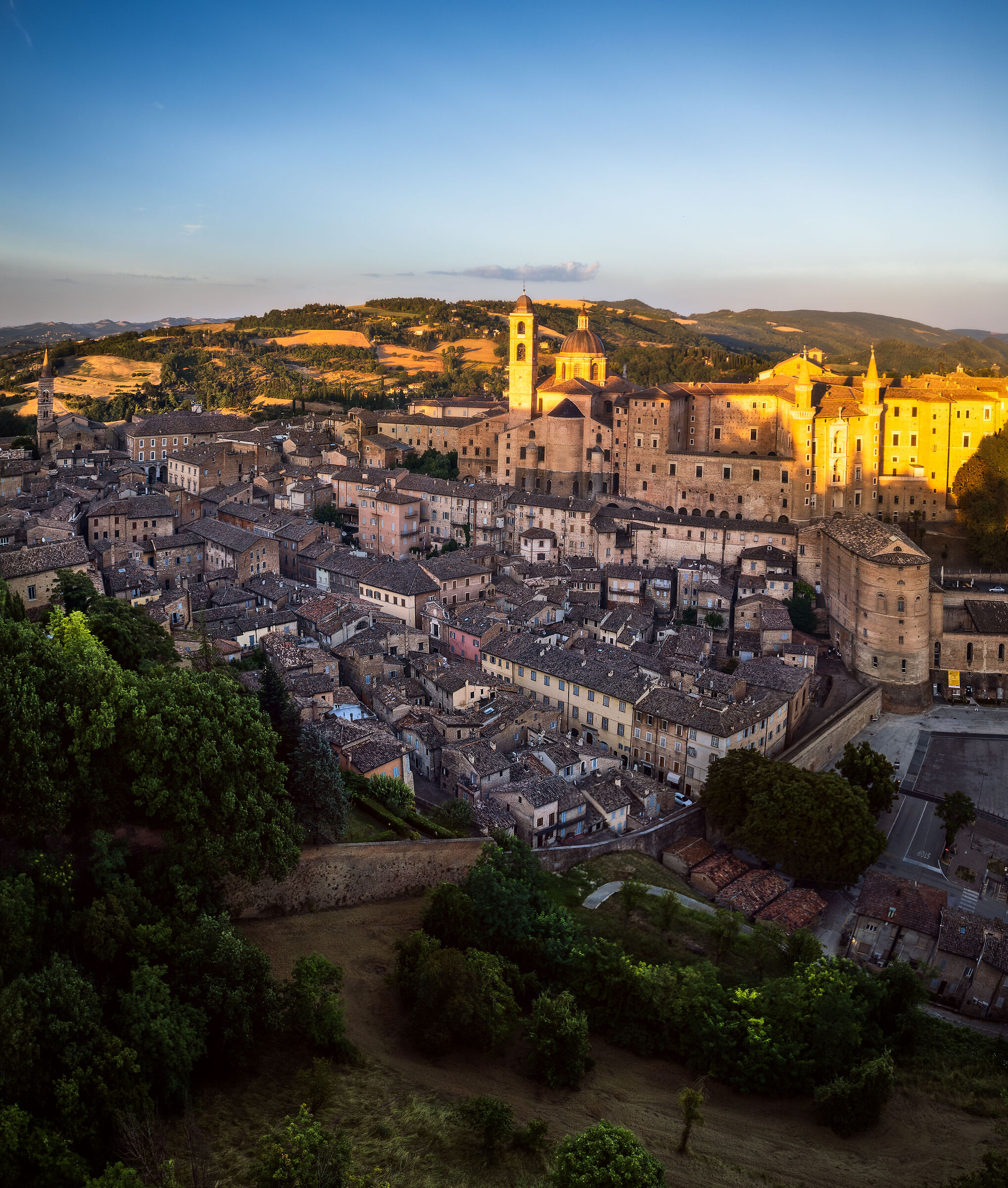 Urbino