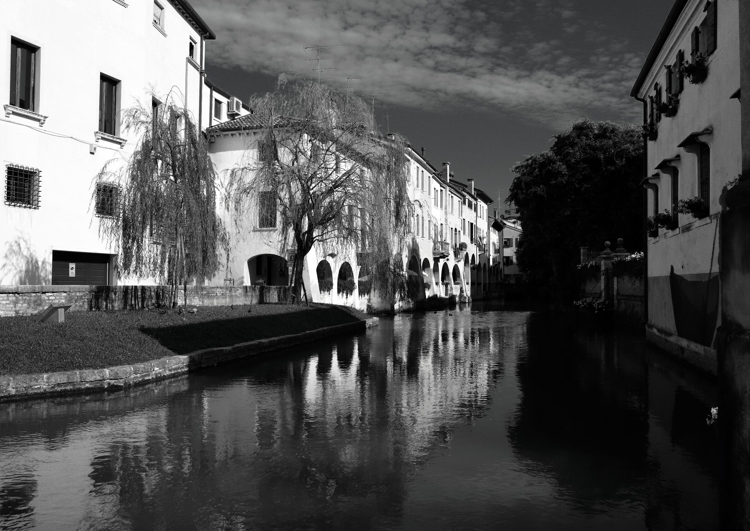 Treviso