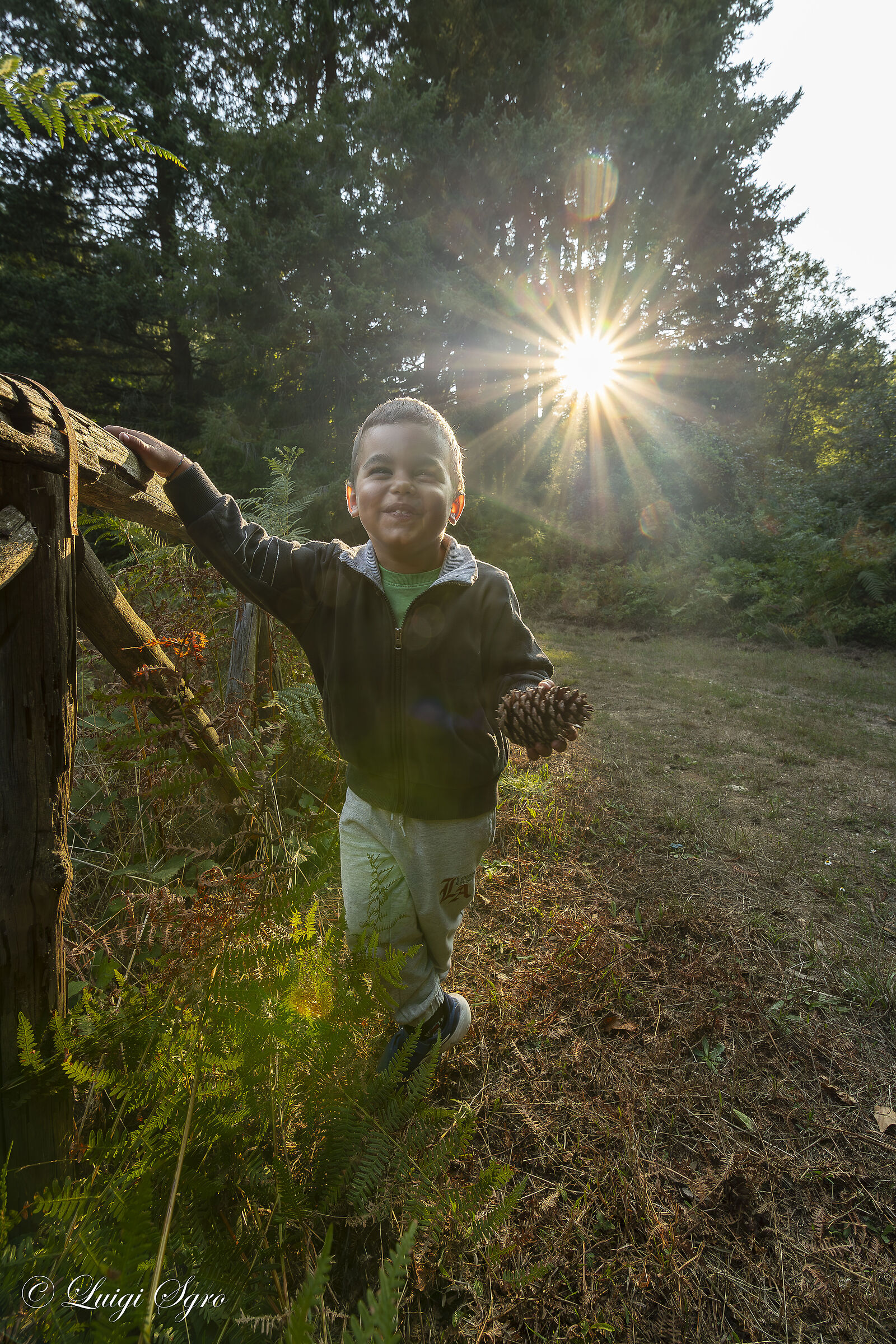 My little woodcutter