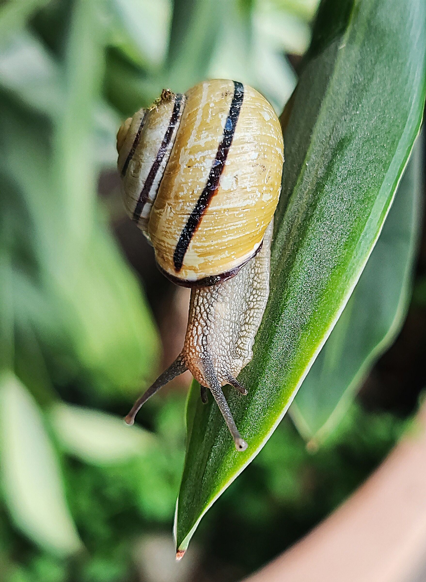 From below up... 4 ...