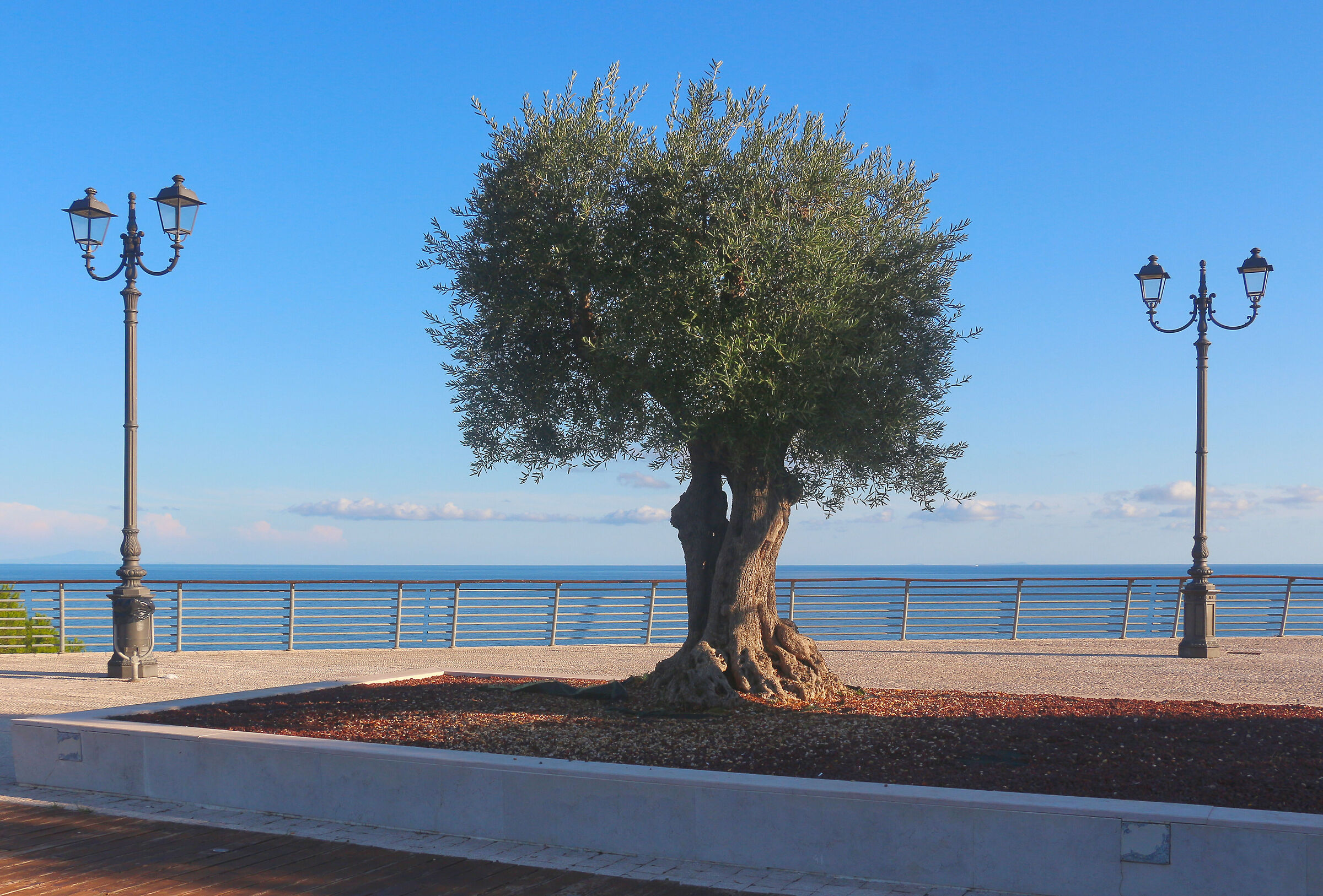 ...dell'Uomo e della Natura...