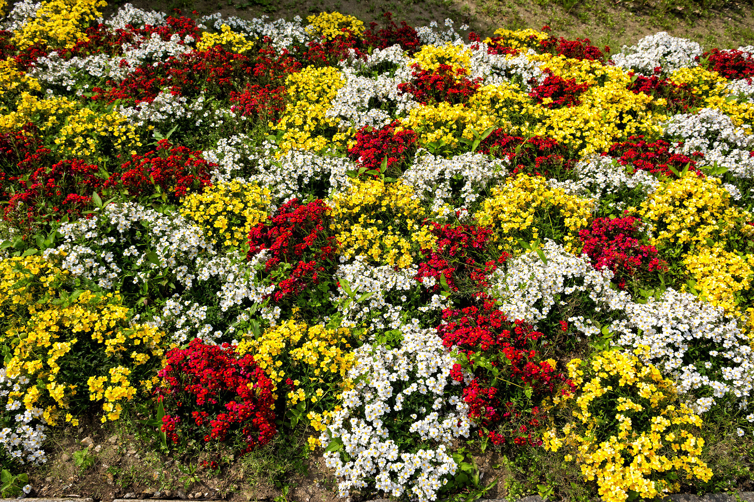 I colori del parco