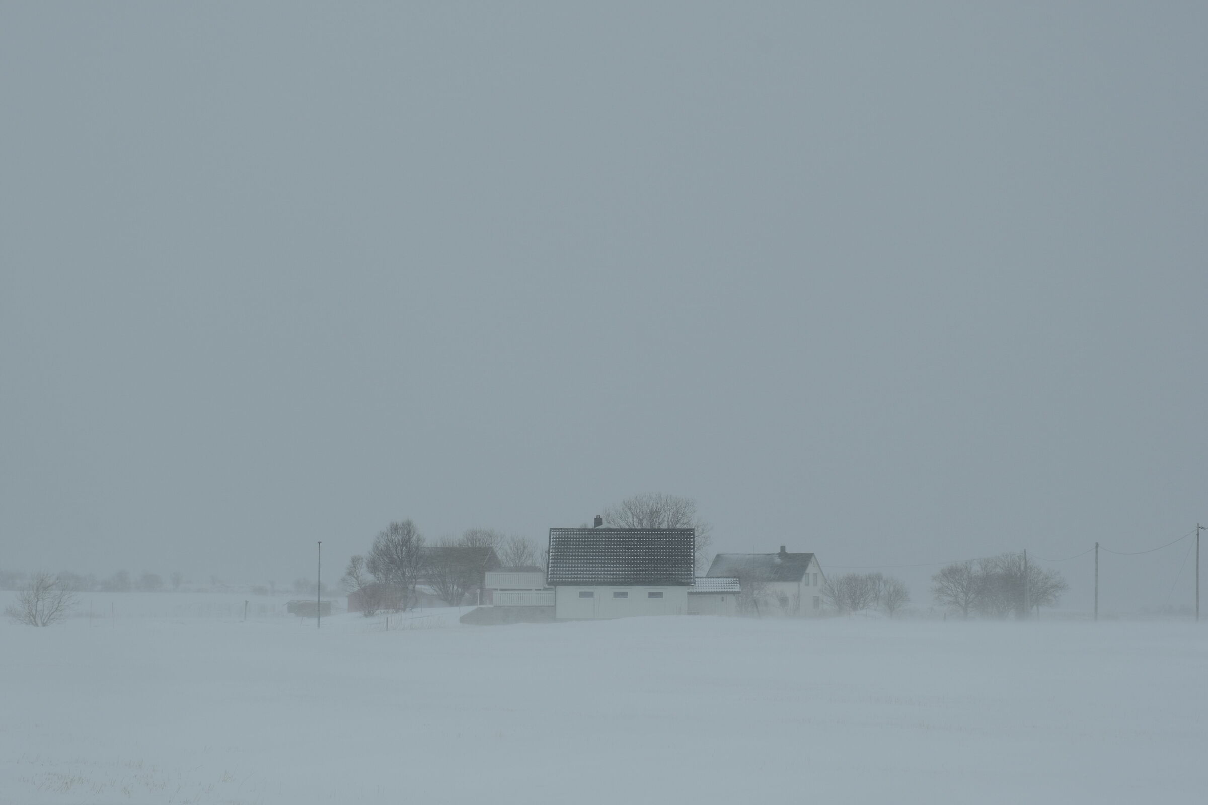 paintig with the snow